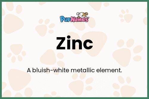 Zinc dog name meaning