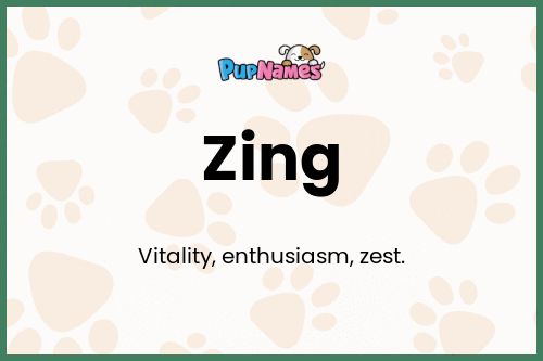 Zing dog name meaning