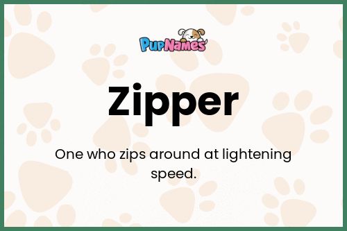 Zipper dog name meaning