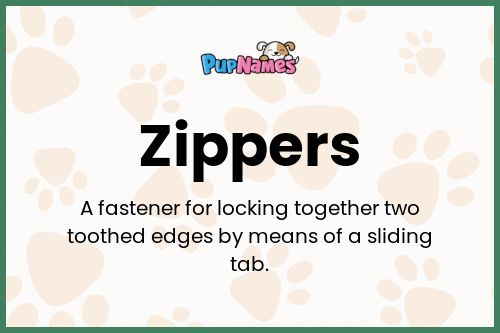 Zippers dog name meaning