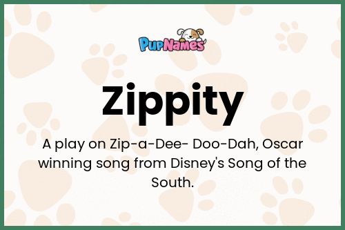 Zippity dog name meaning