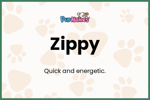 Zippy dog name meaning