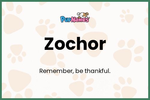 Zochor dog name meaning