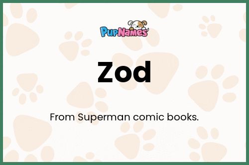 Zod dog name meaning