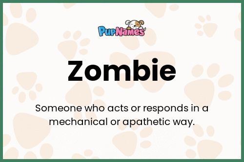 Zombie dog name meaning