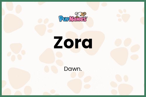 Zora dog name meaning