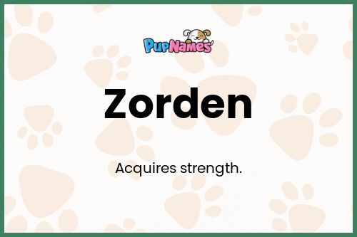 Zorden dog name meaning