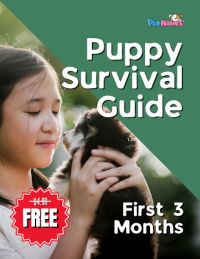 Puppy Survival Guide