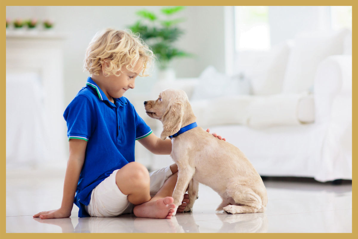 Een blond jongetje zit op de grond en kijk zijn witte labrador pup aan en aait hem over zijn rug.