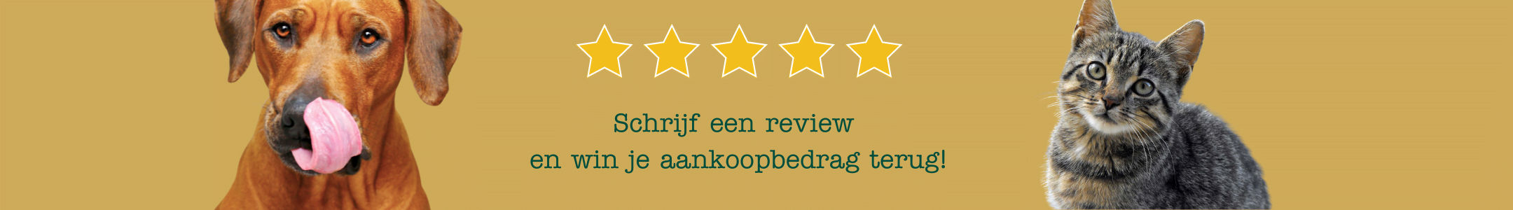 Schrijf-een-review-en-win-je-aankoopbedrag terug