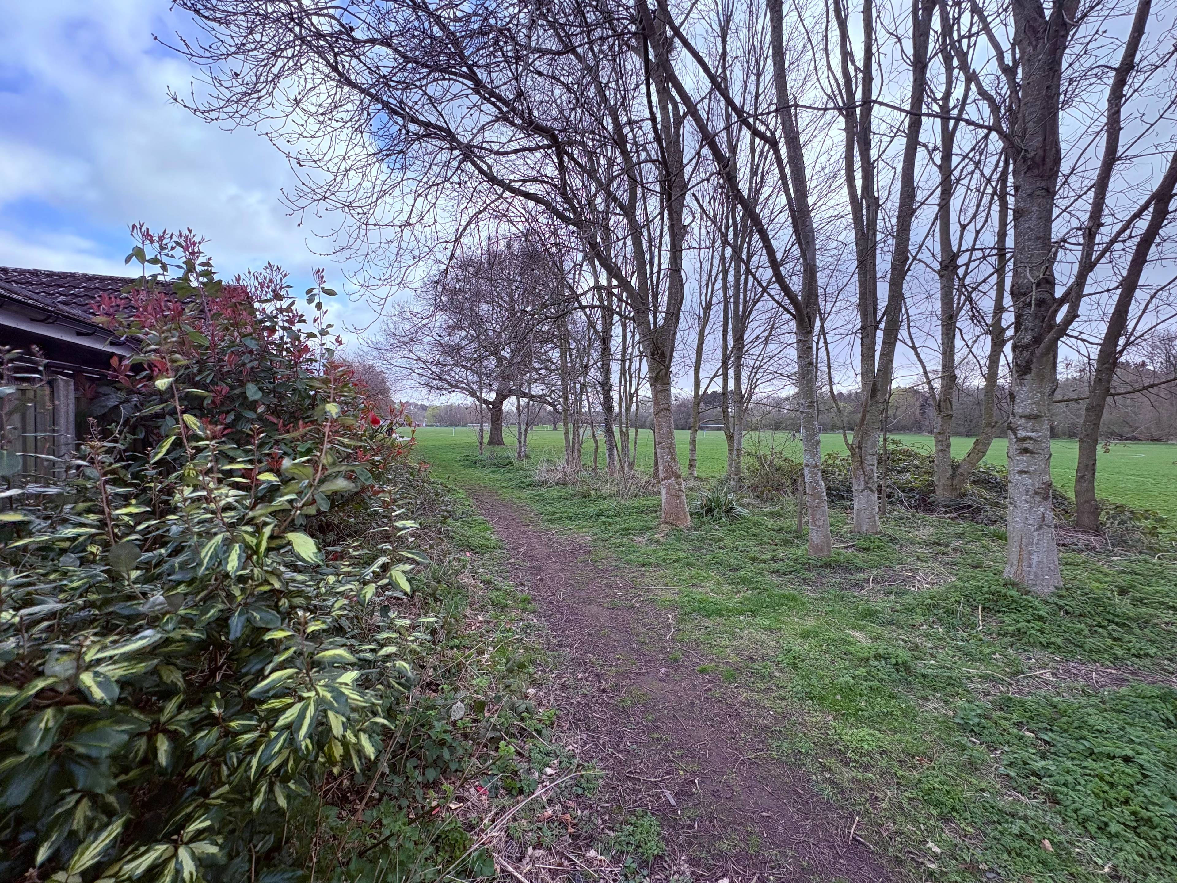 Surrounding Area