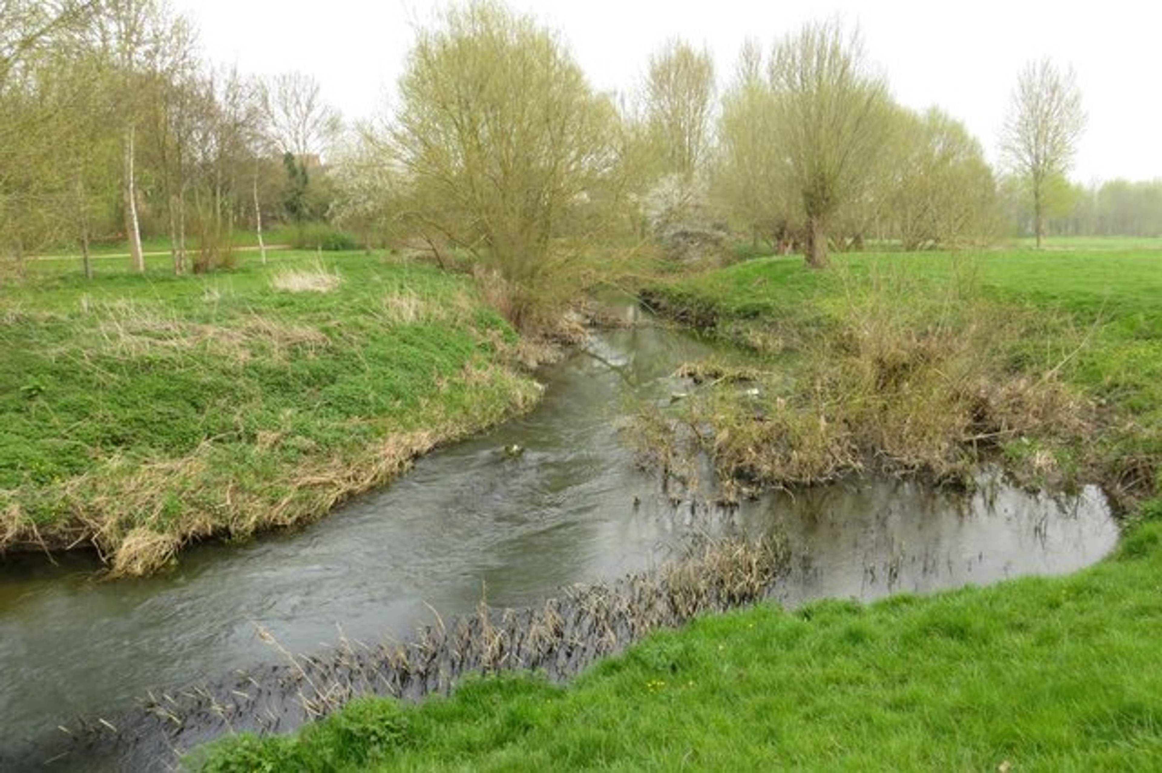 Local Area