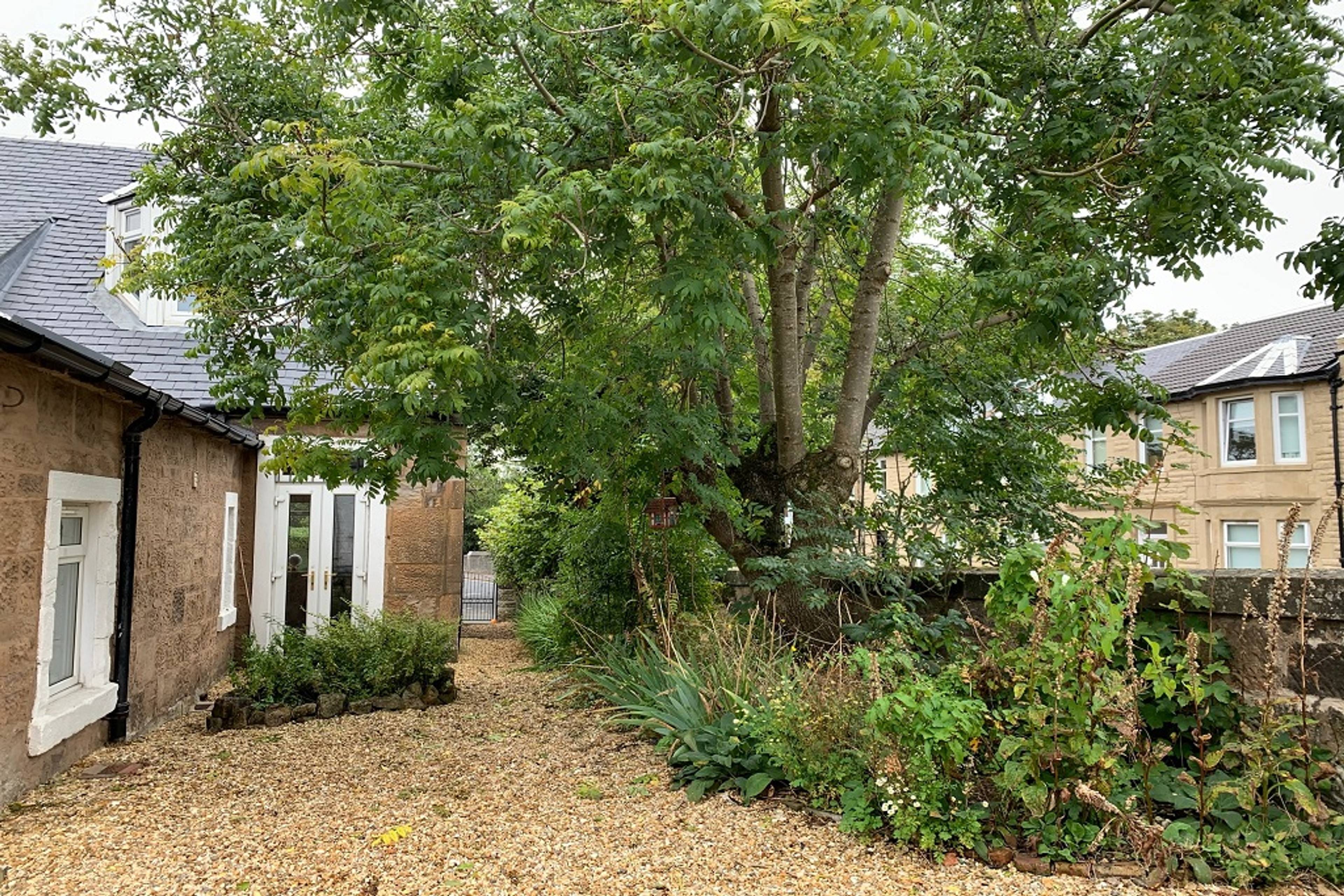 Side Garden