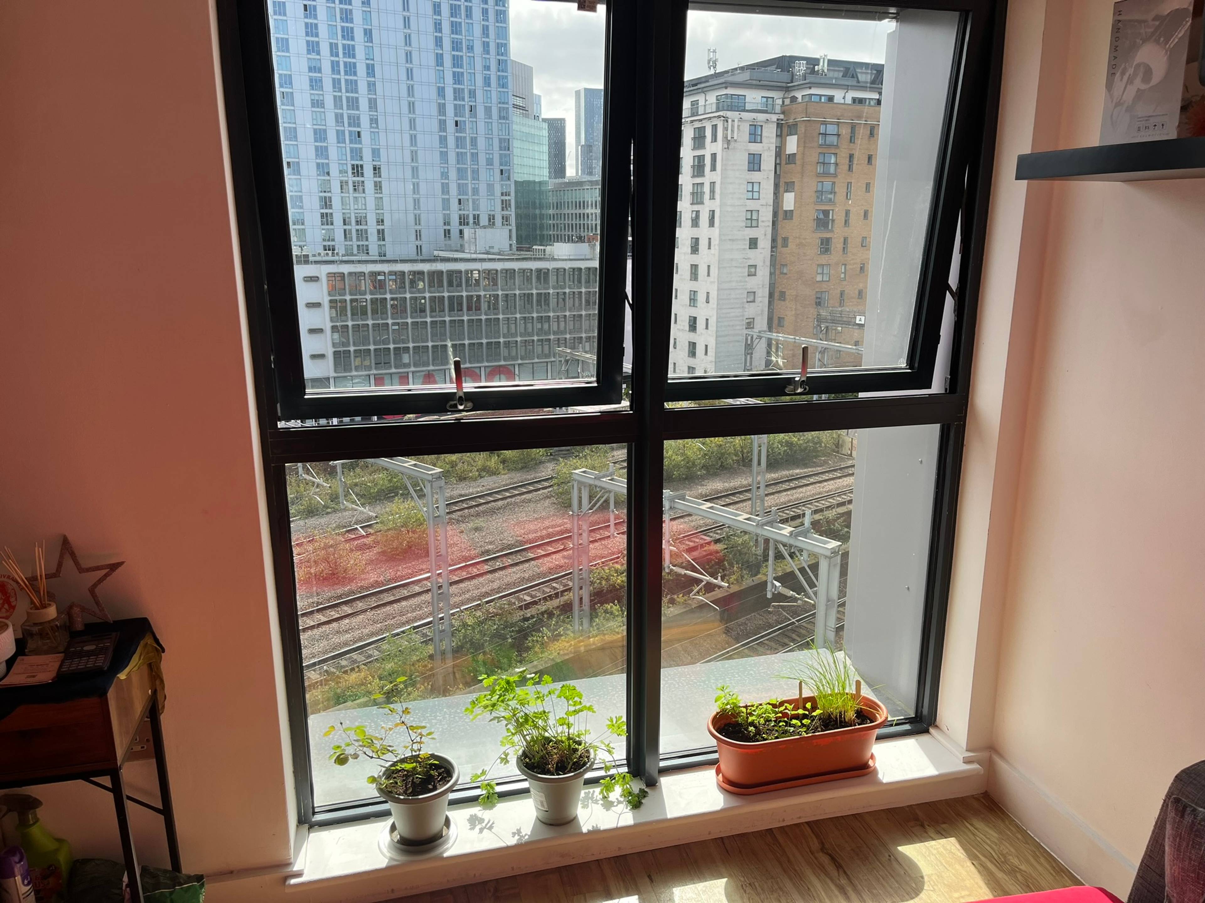 view