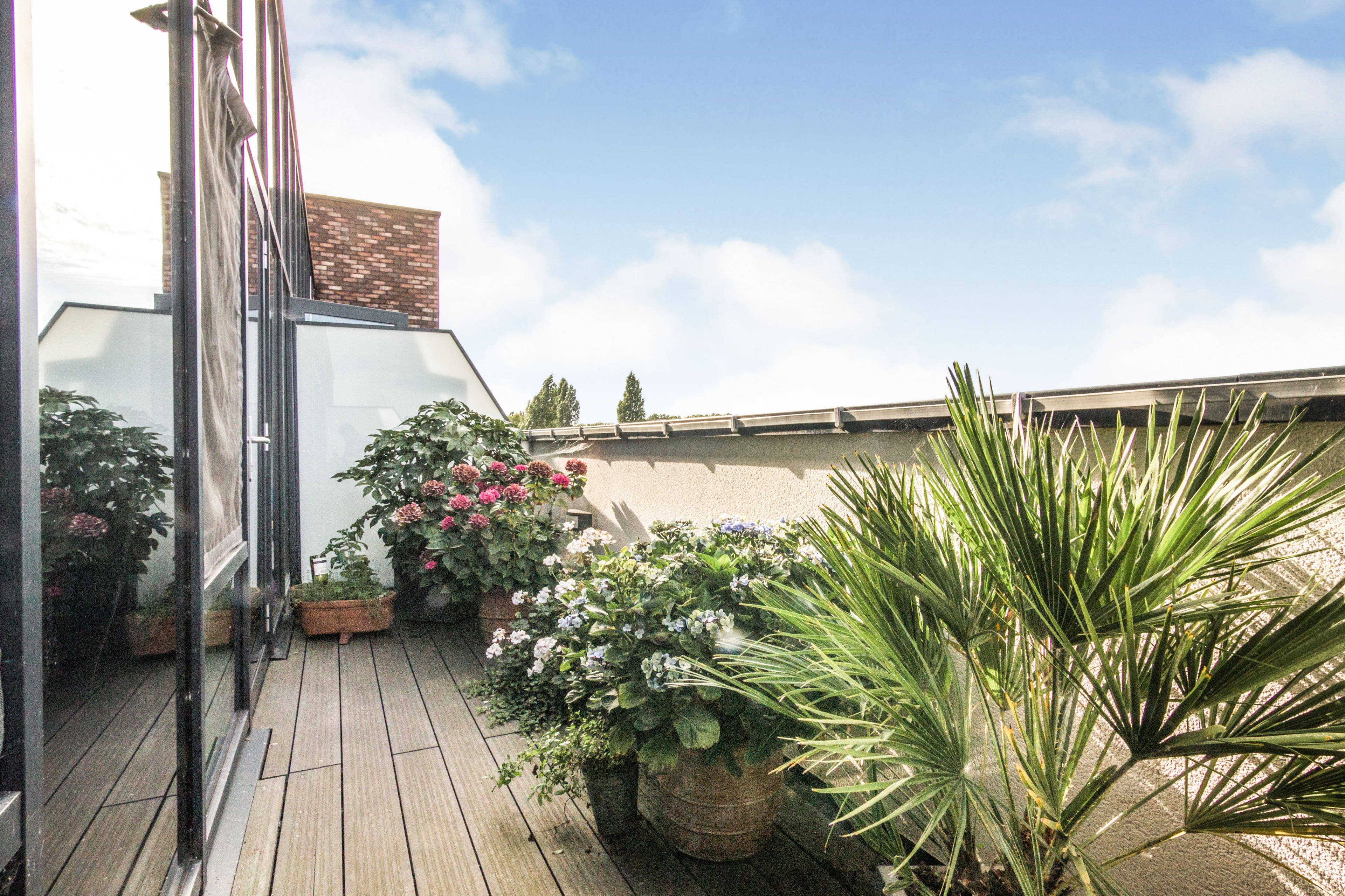 Roof Terrace