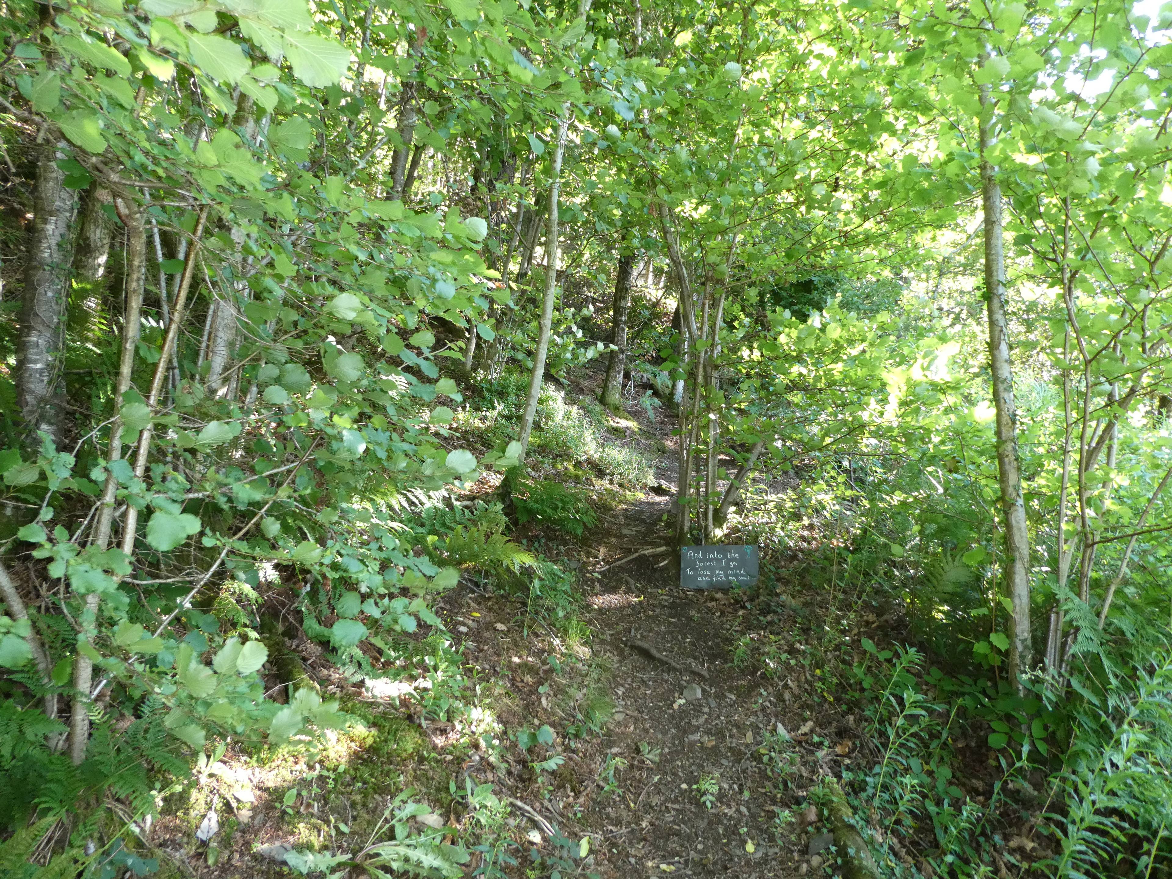 Woodland