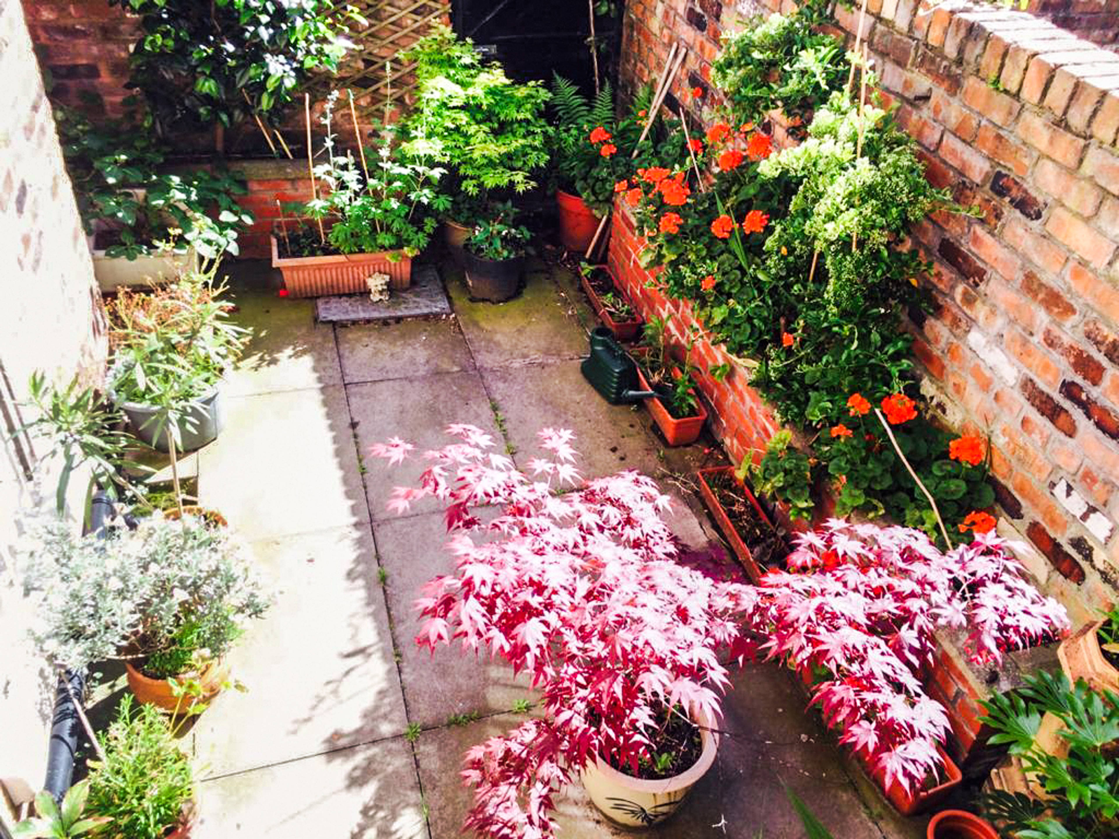 Courtyard