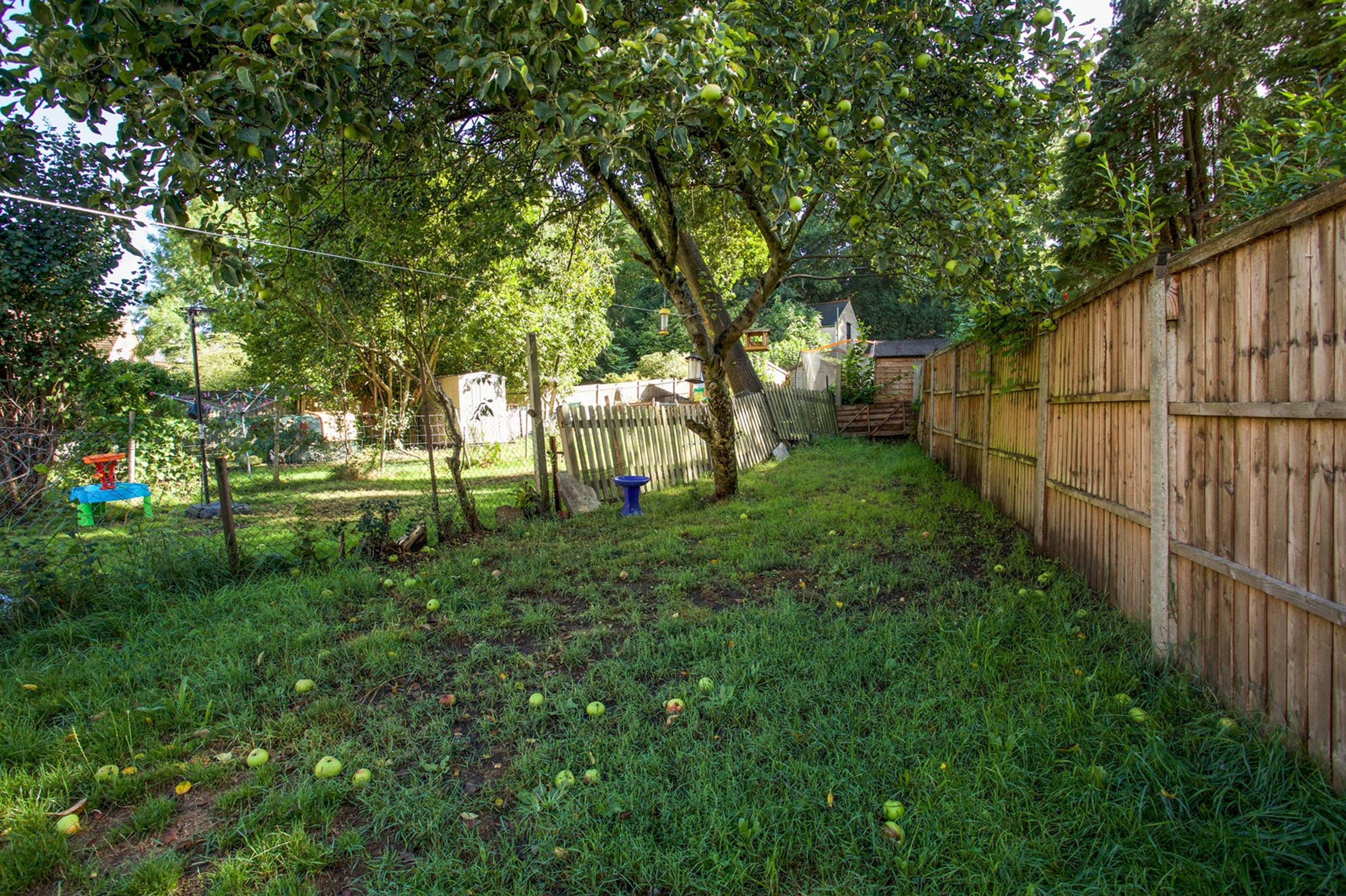 Communal Gardens