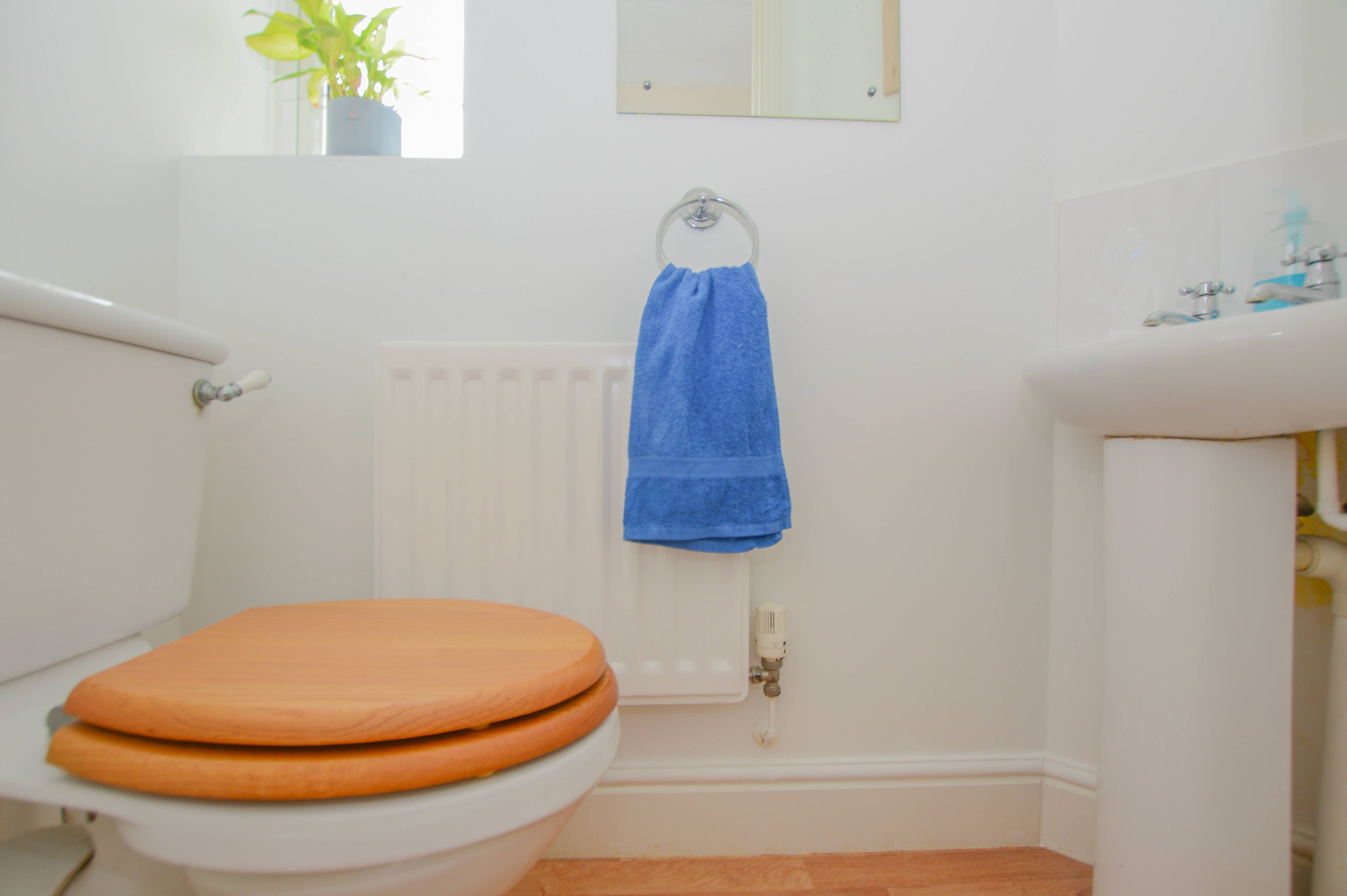 Downstairs Cloakroom