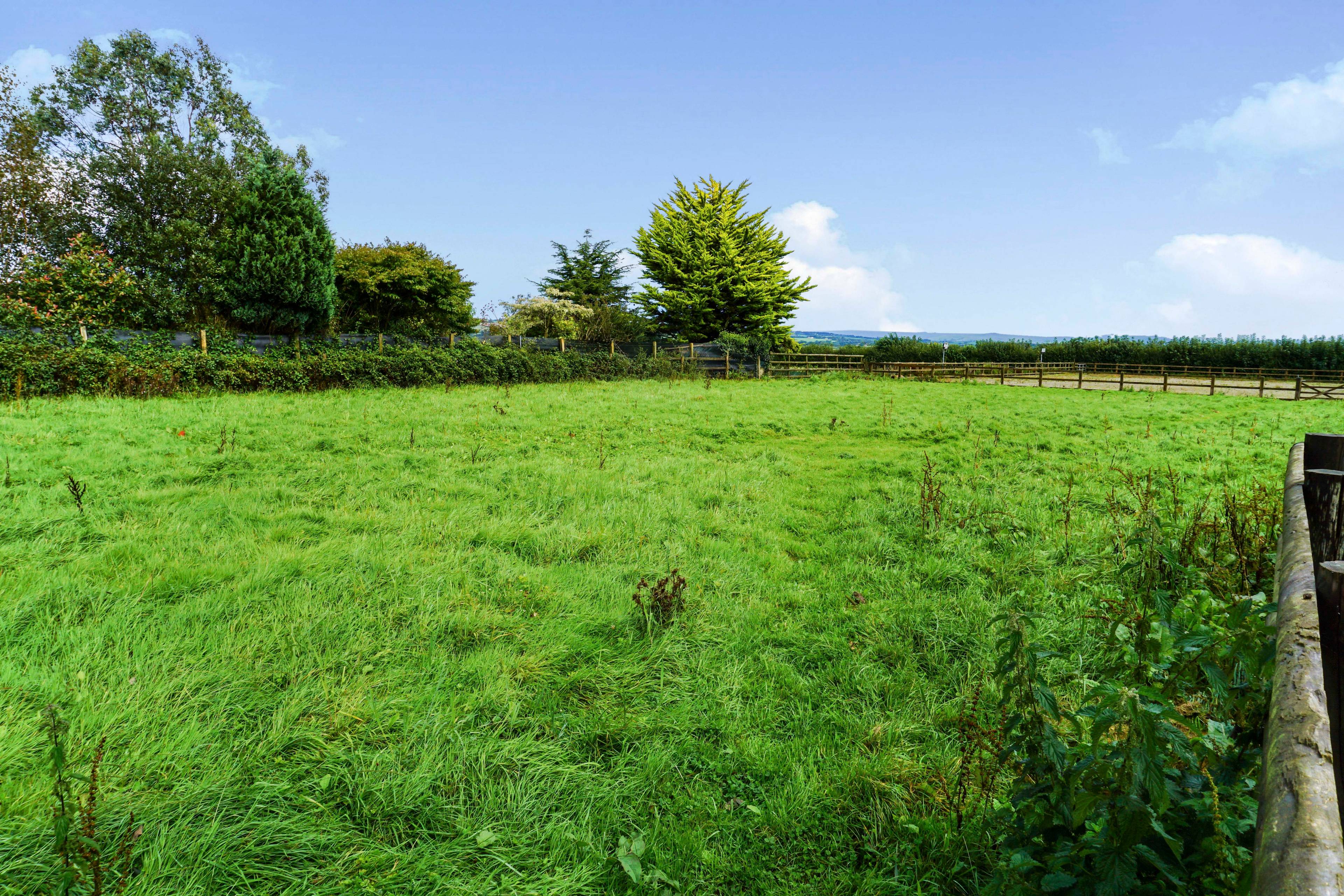 Grounds