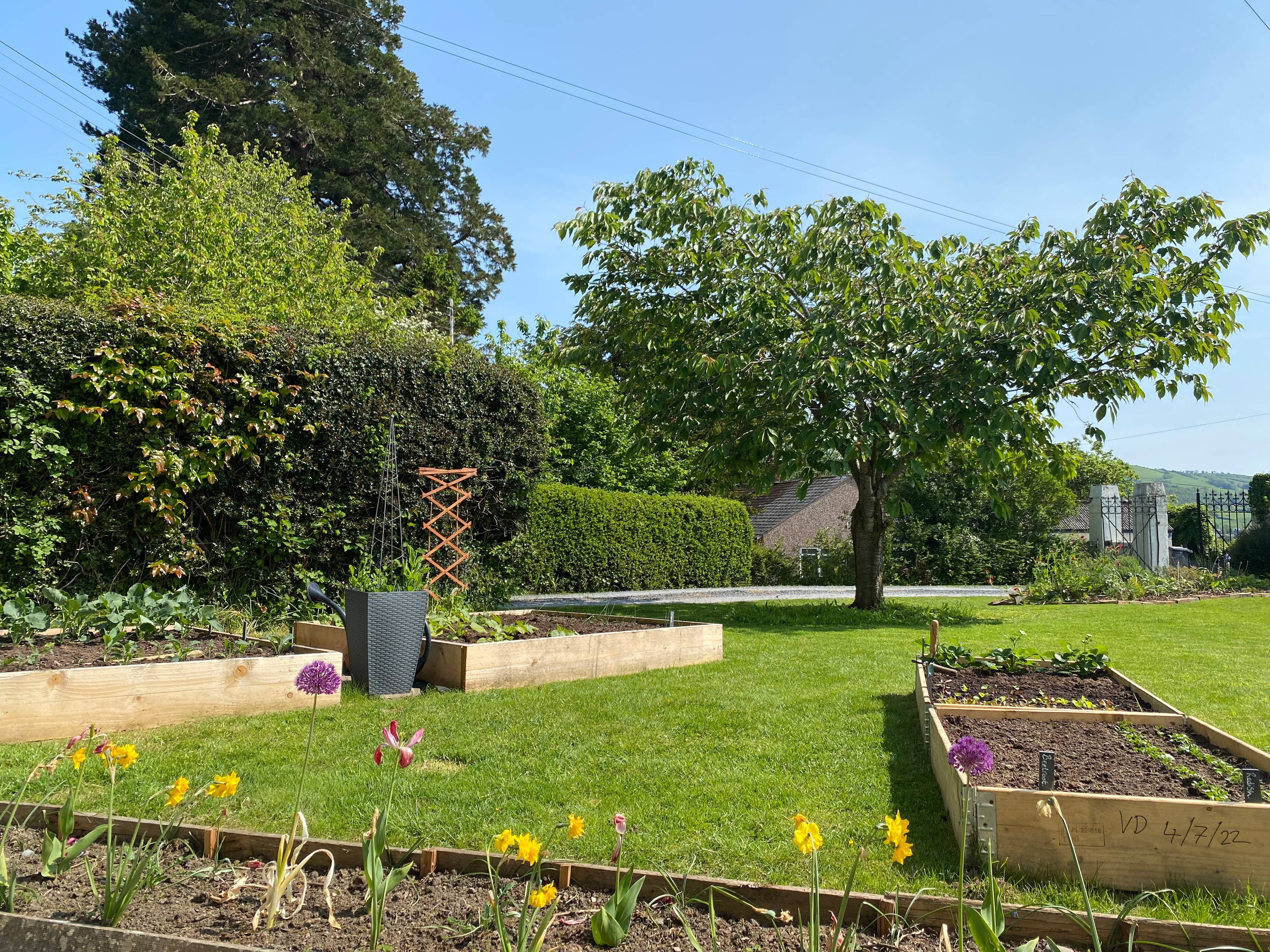 Front Garden