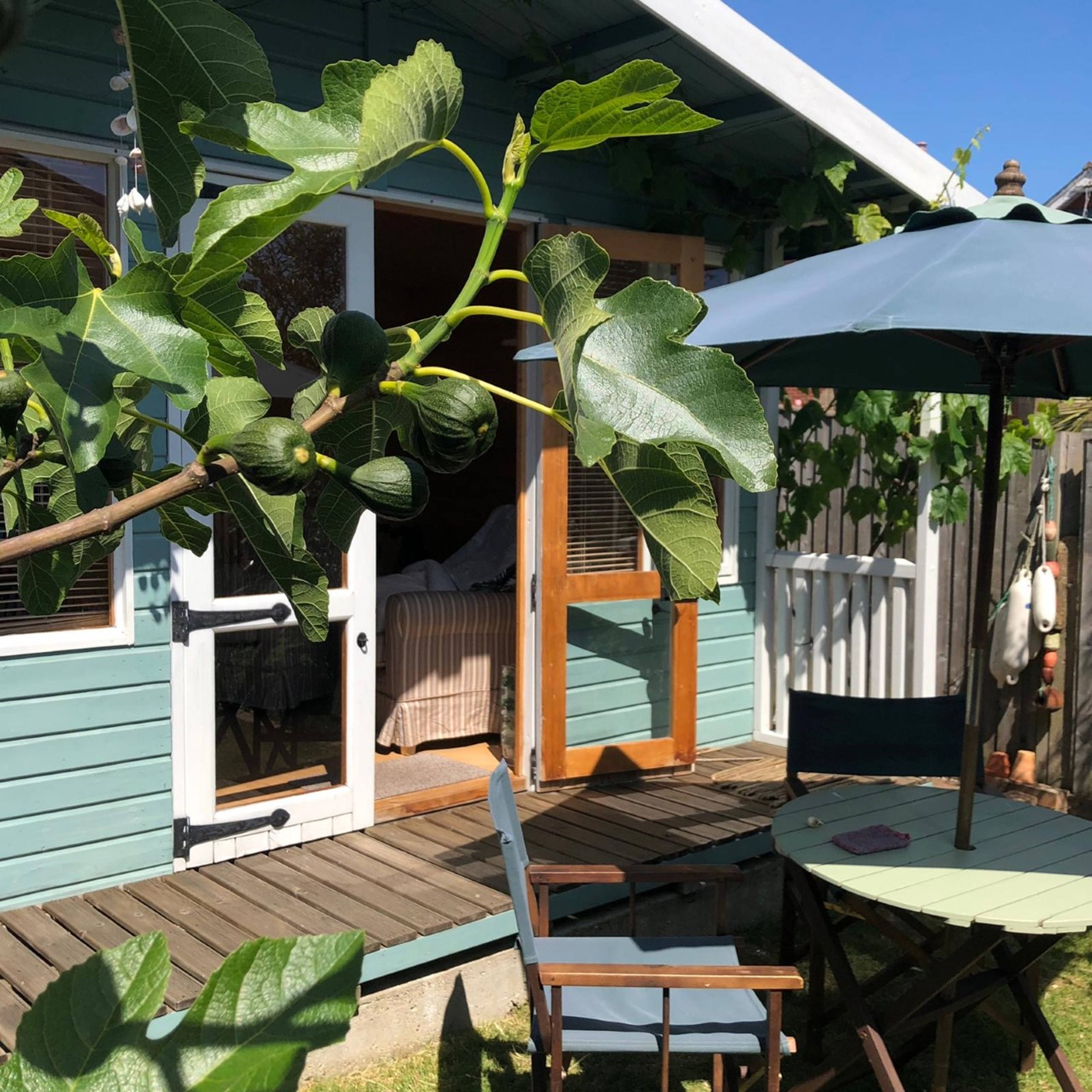Summer House
