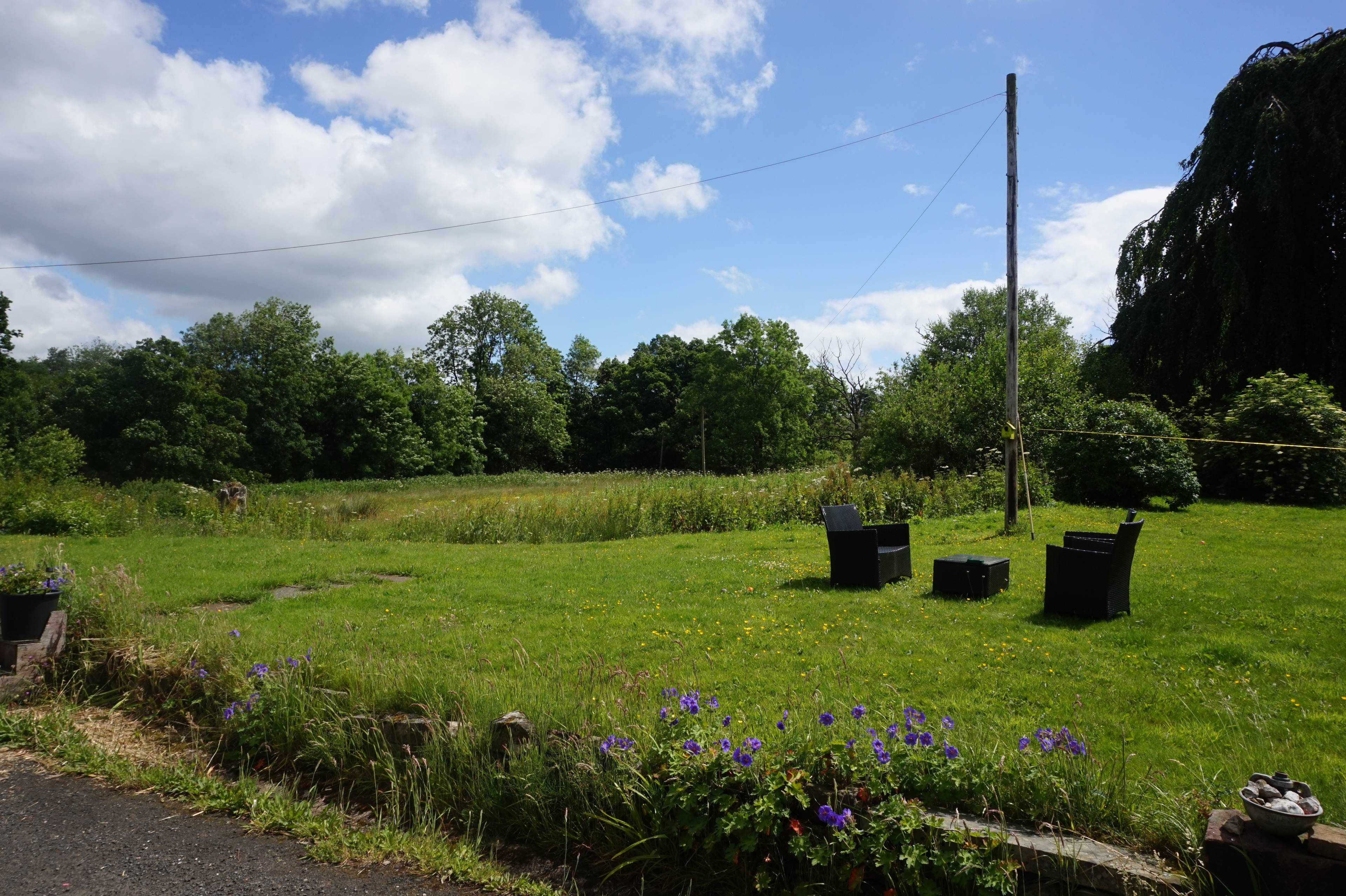 Grounds