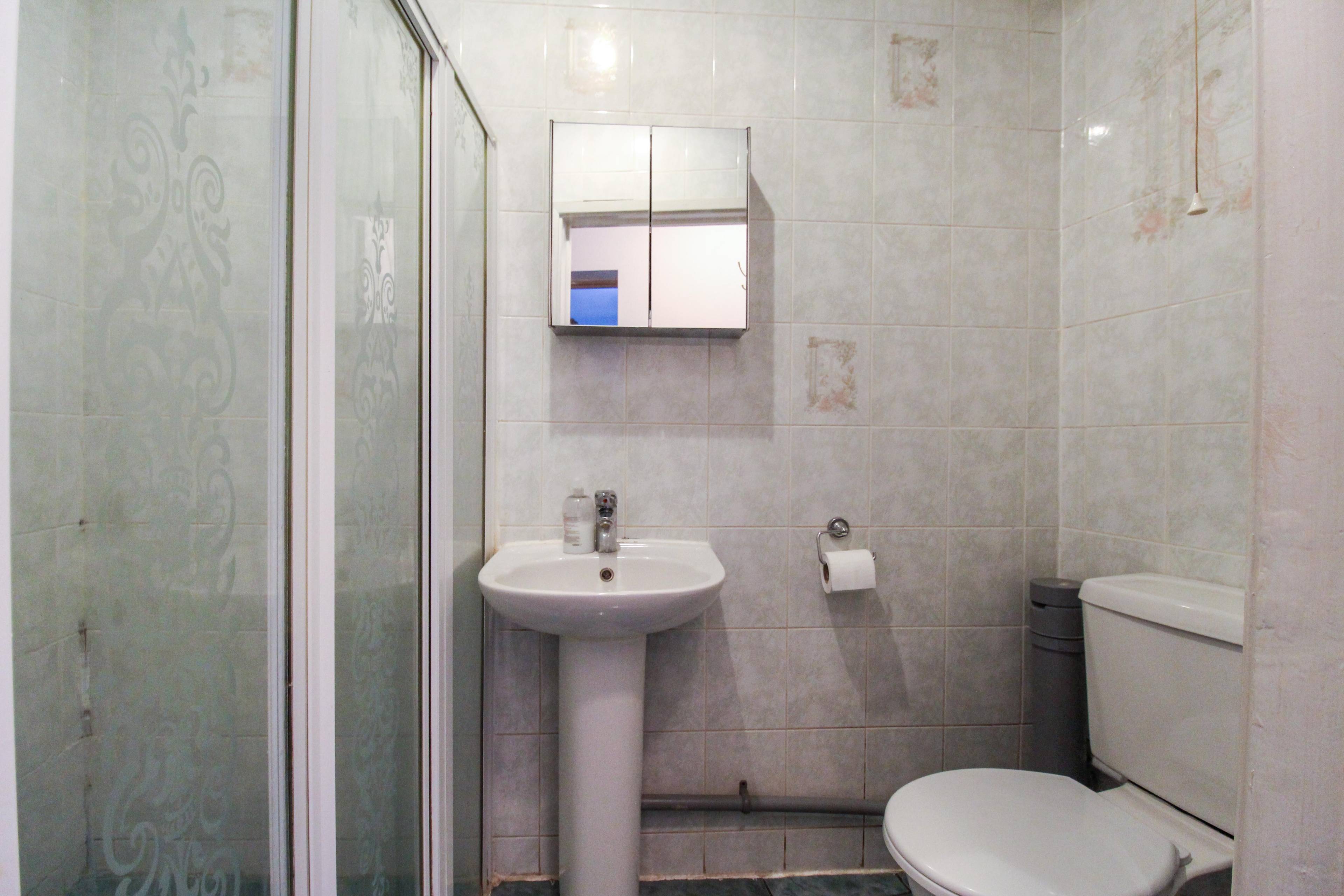 Downstairs Shower