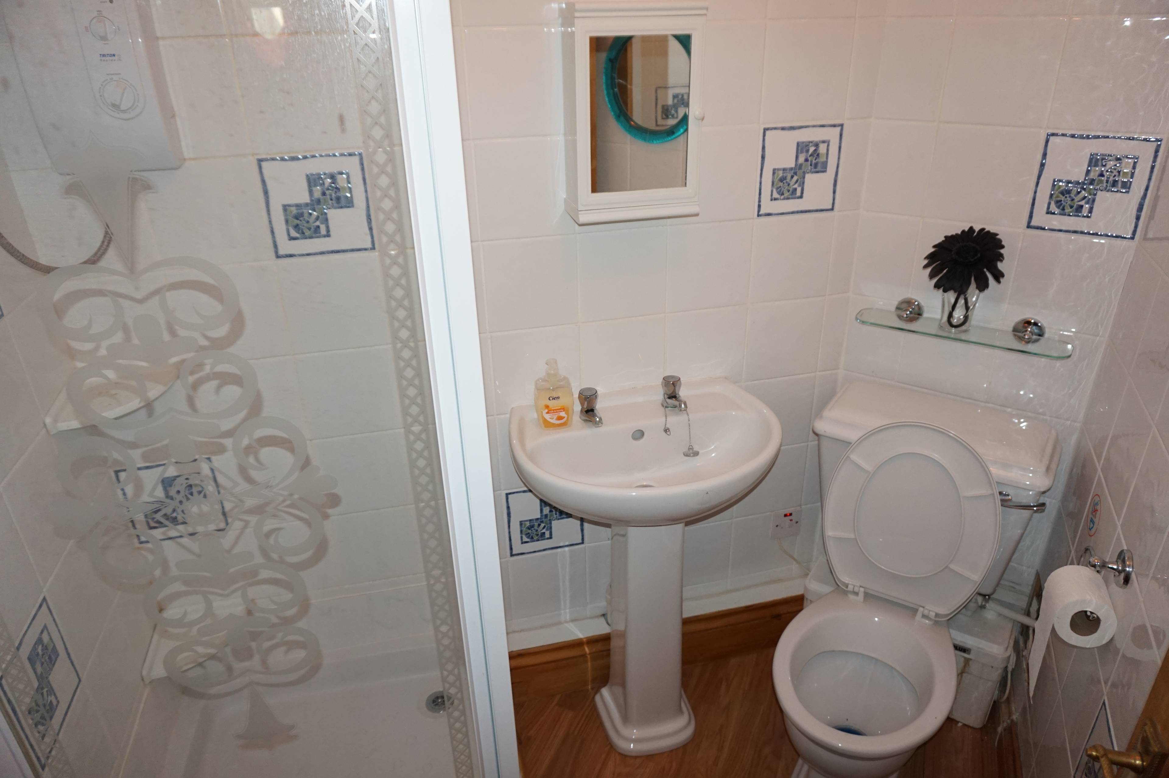 Annexe Shower Room