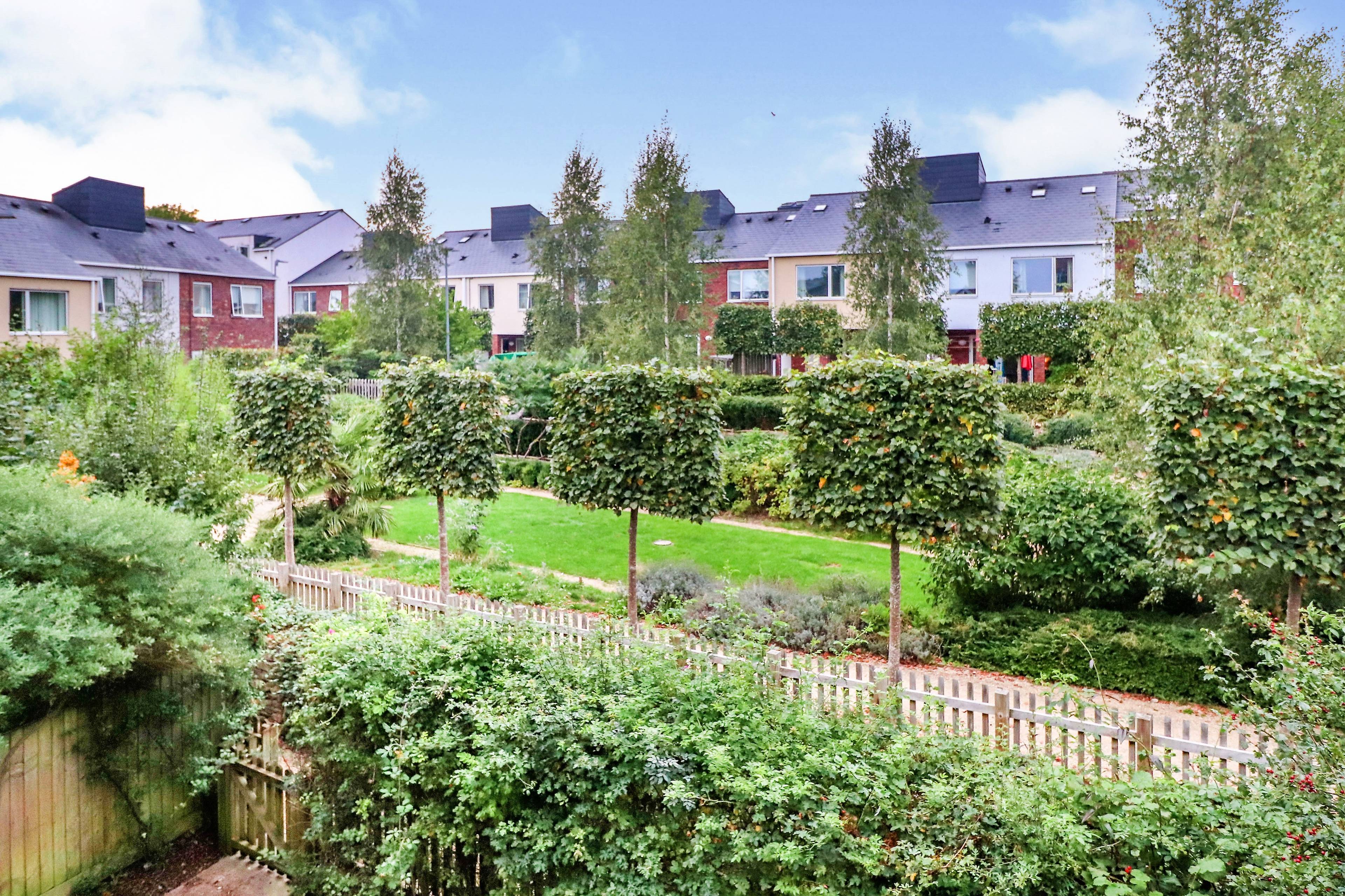 Communal Gardens