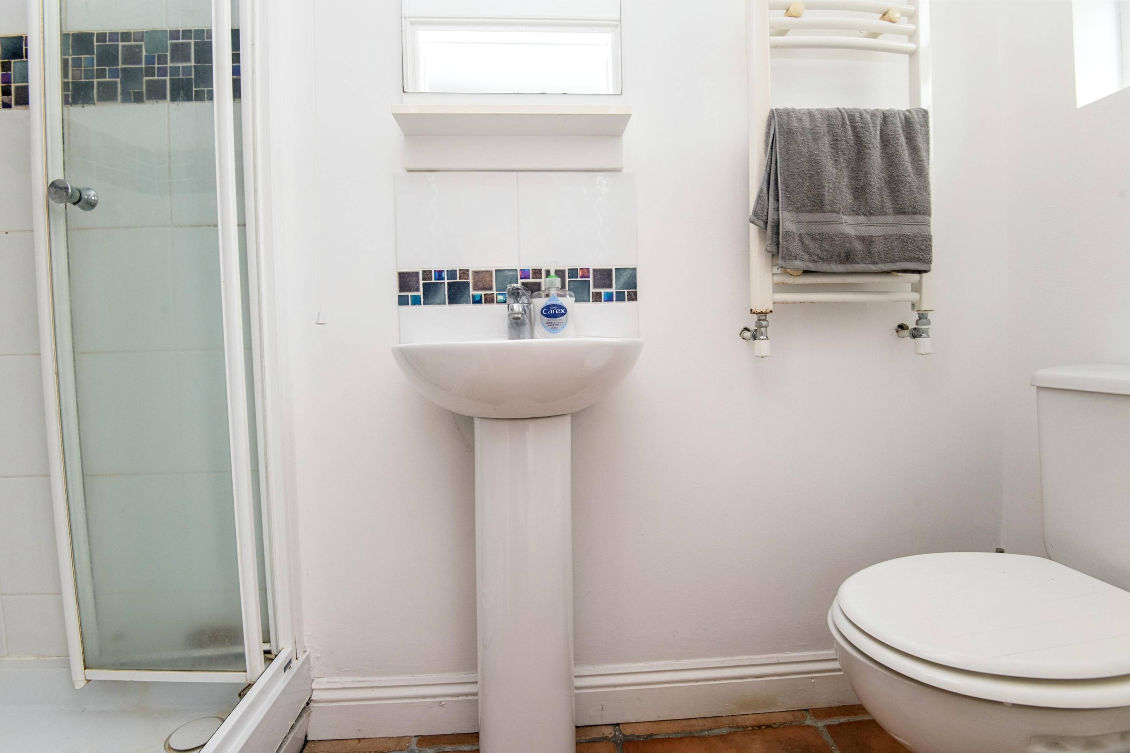 Downstairs Shower