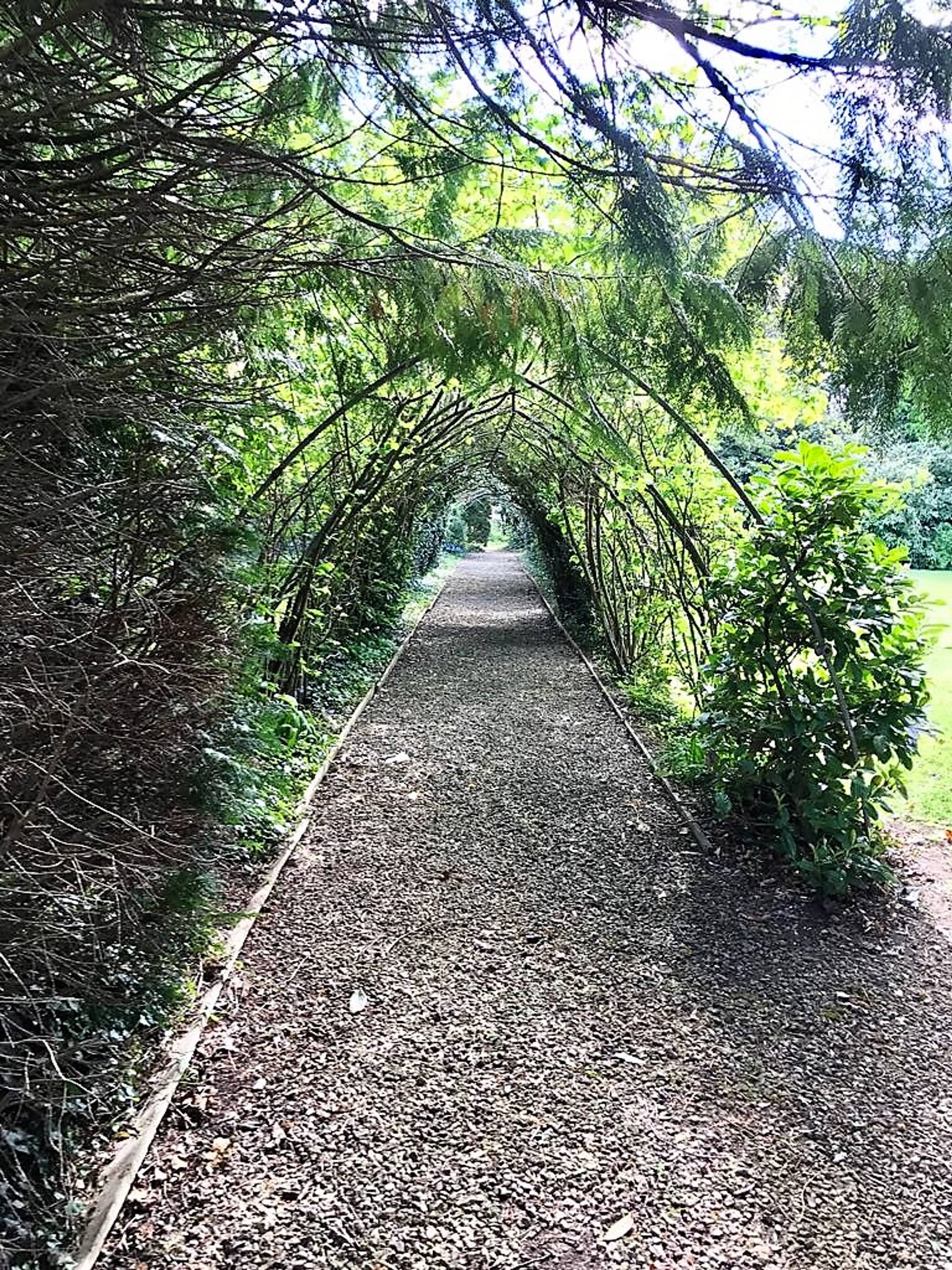 Communal Gardens