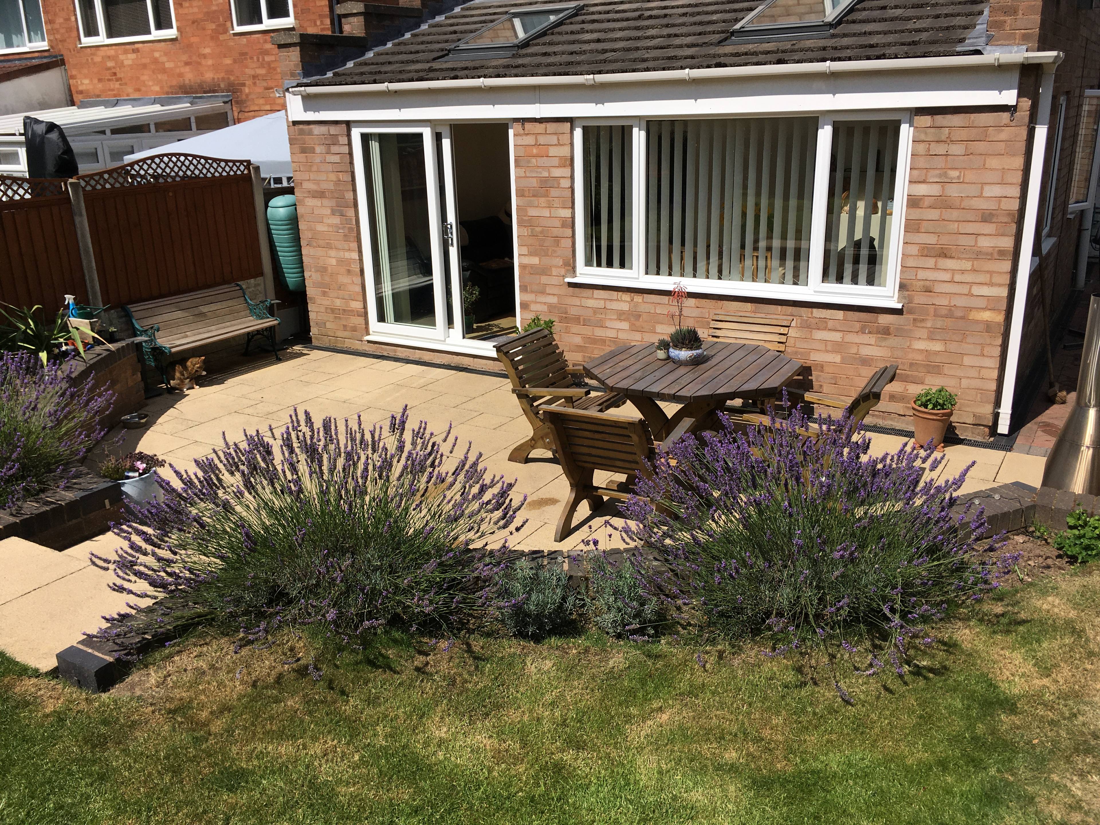 Rear garden