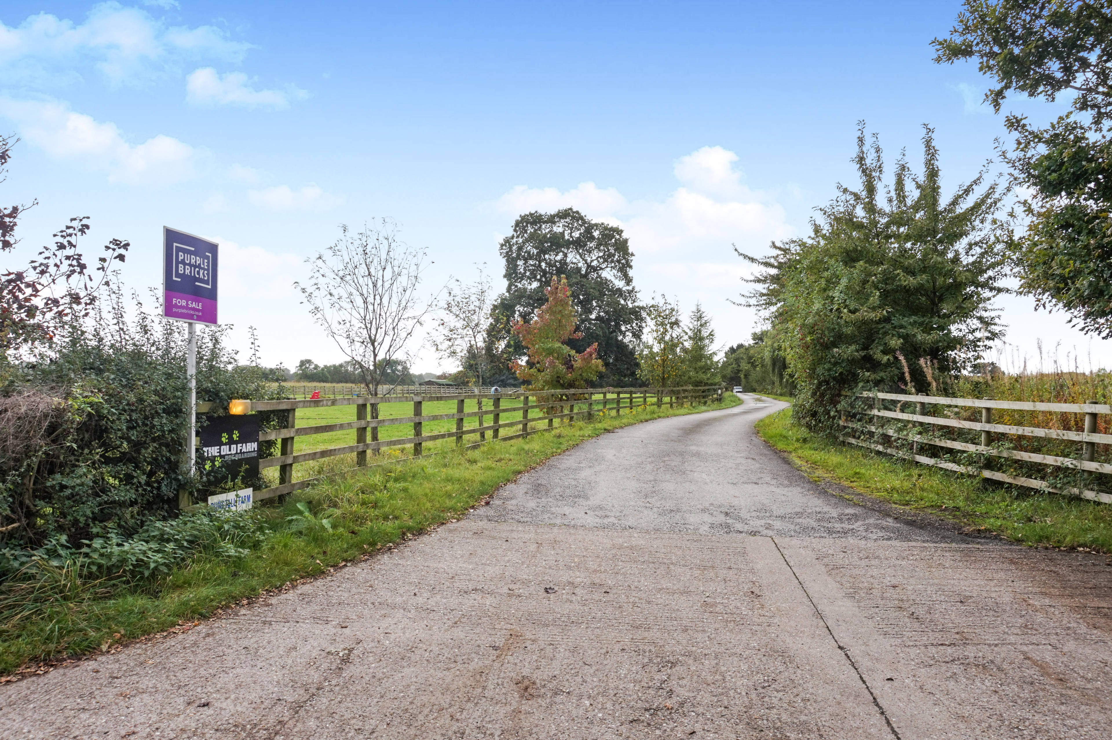 Driveway