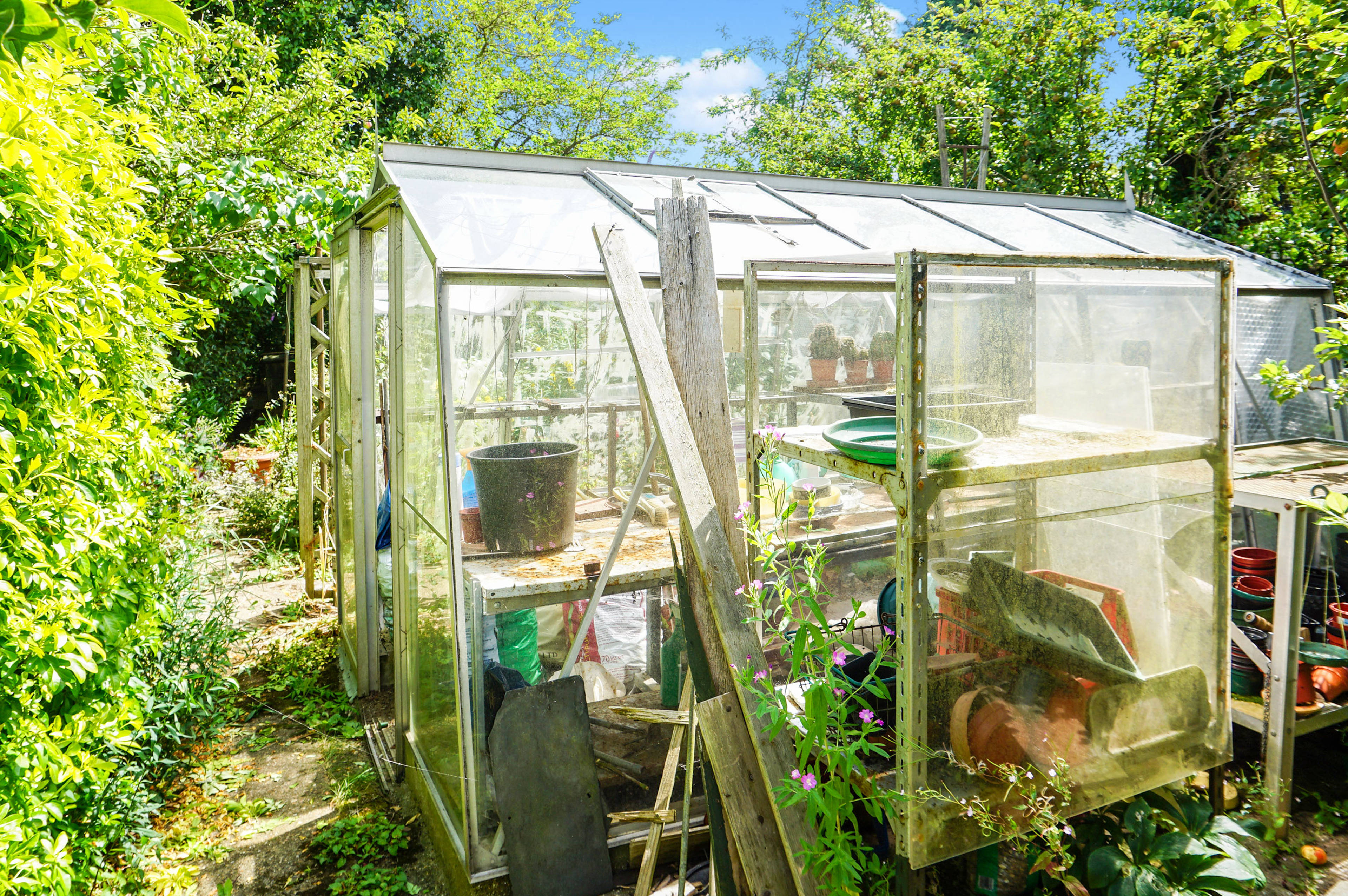 Greenhouse