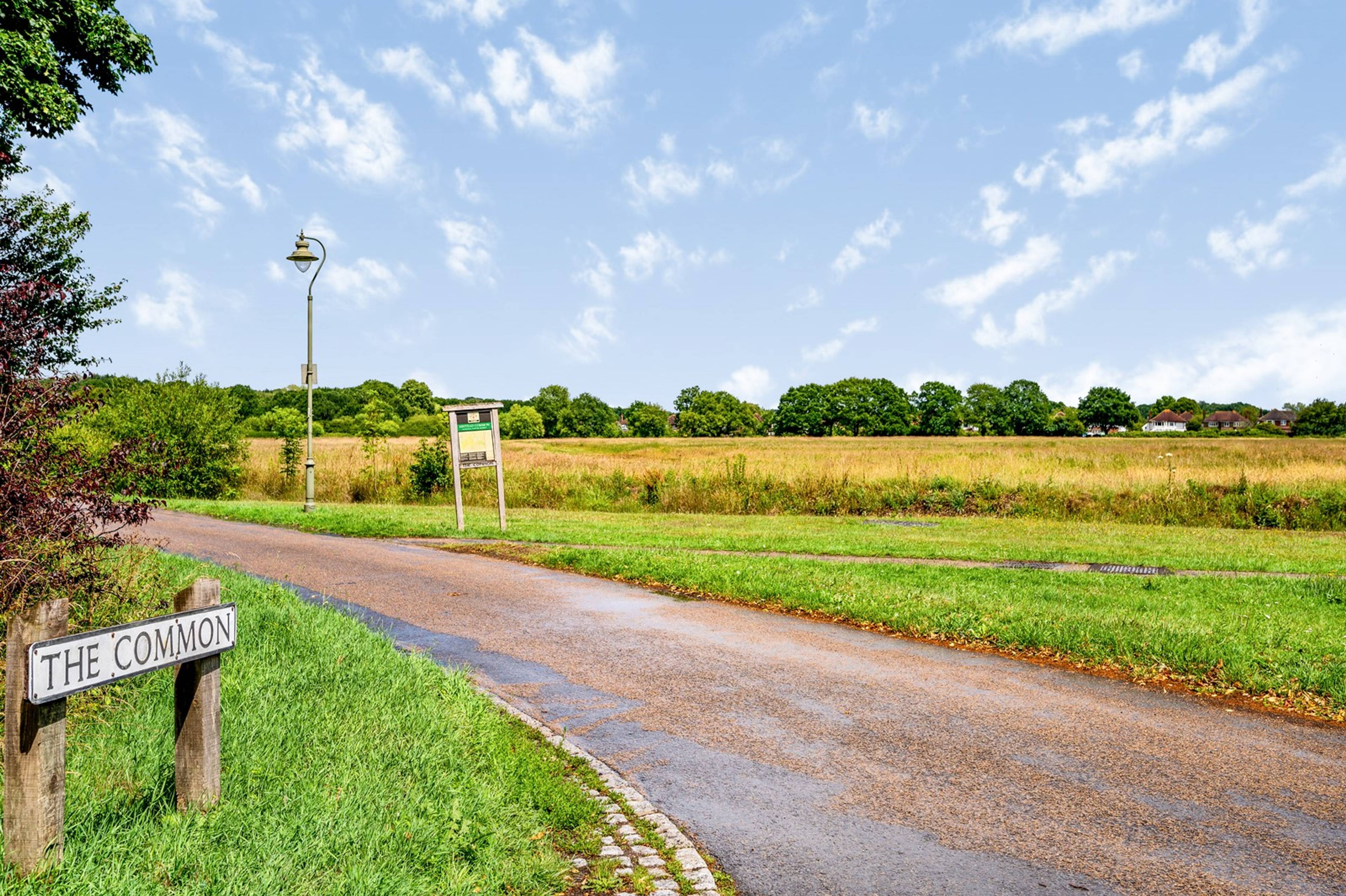 Surrounding Area