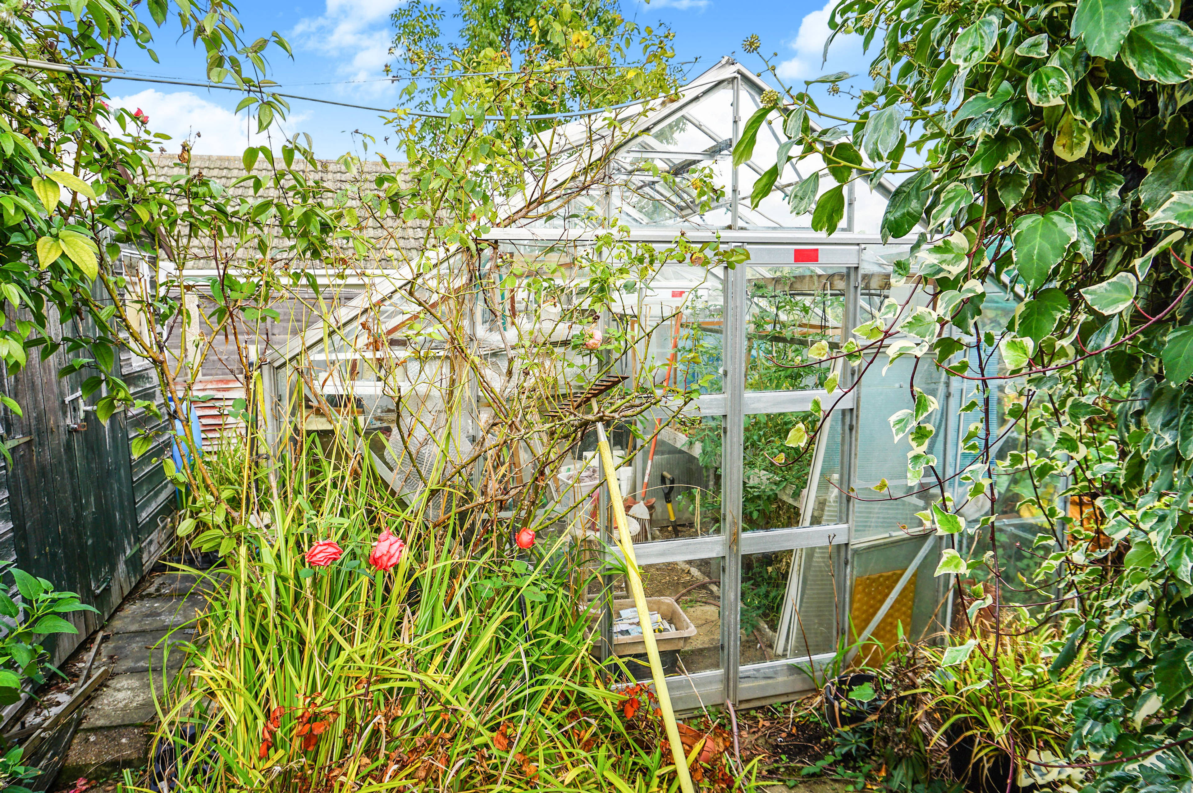 Greenhouse
