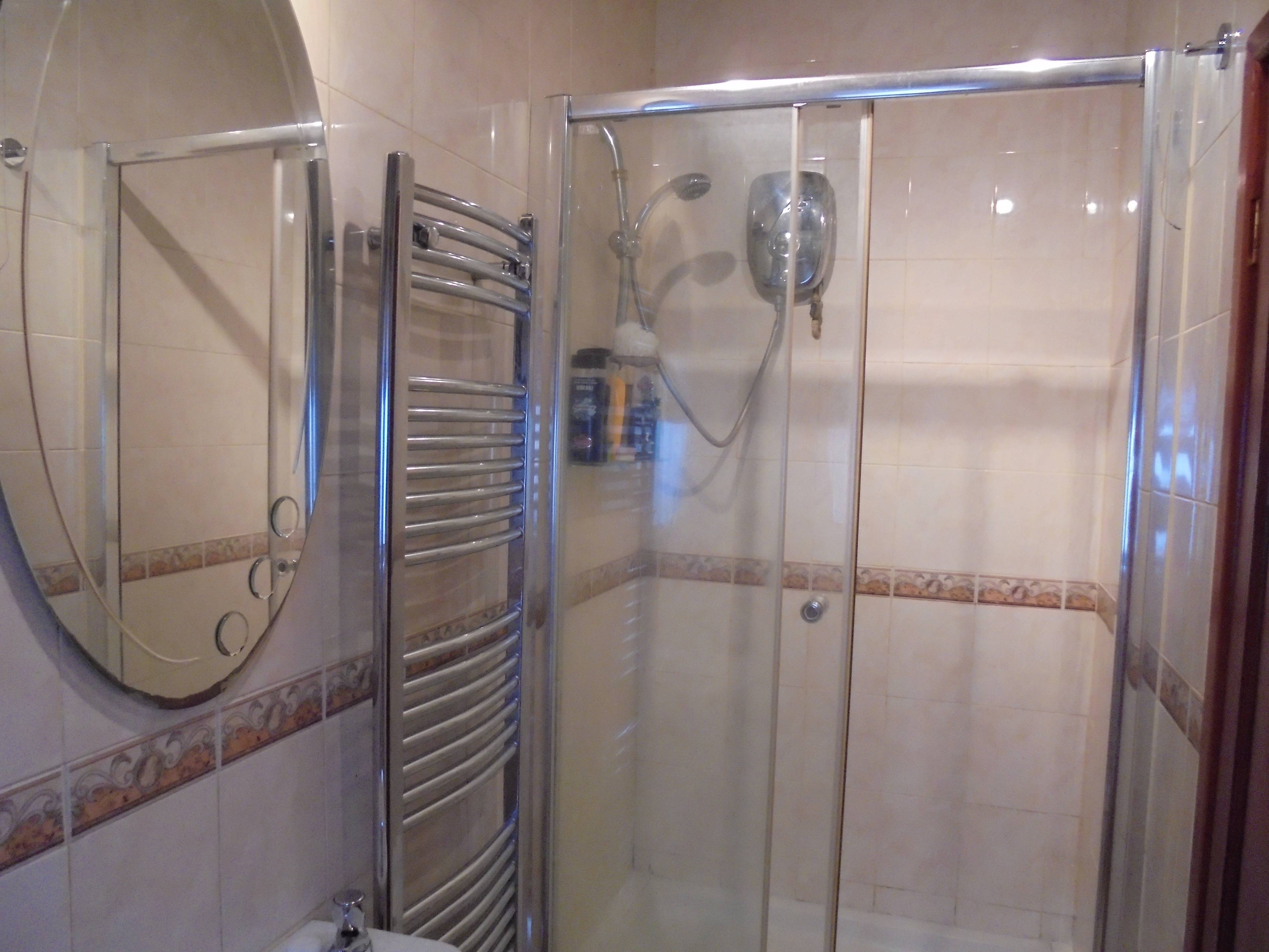 Downstairs Shower 