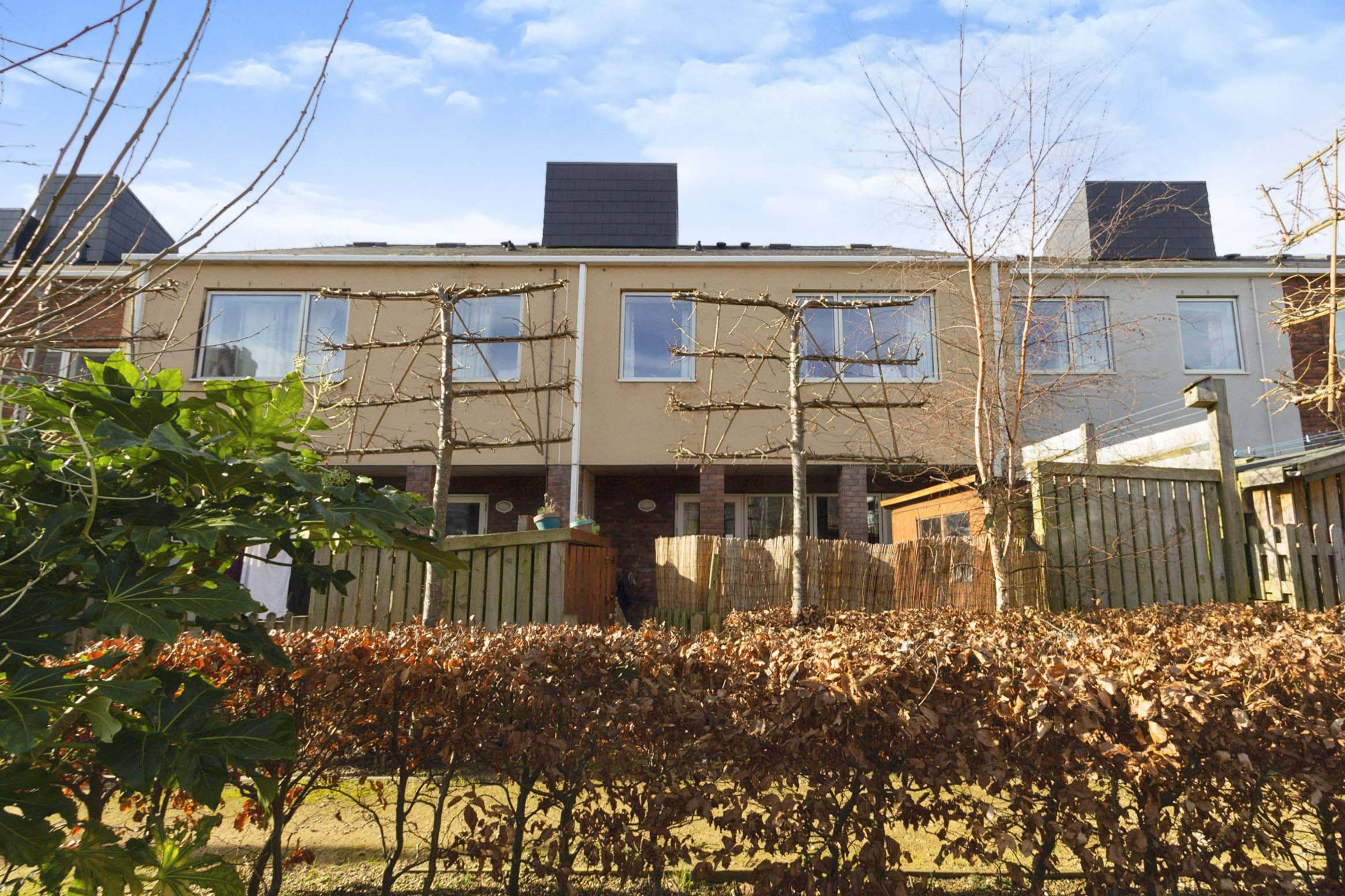 Rear View