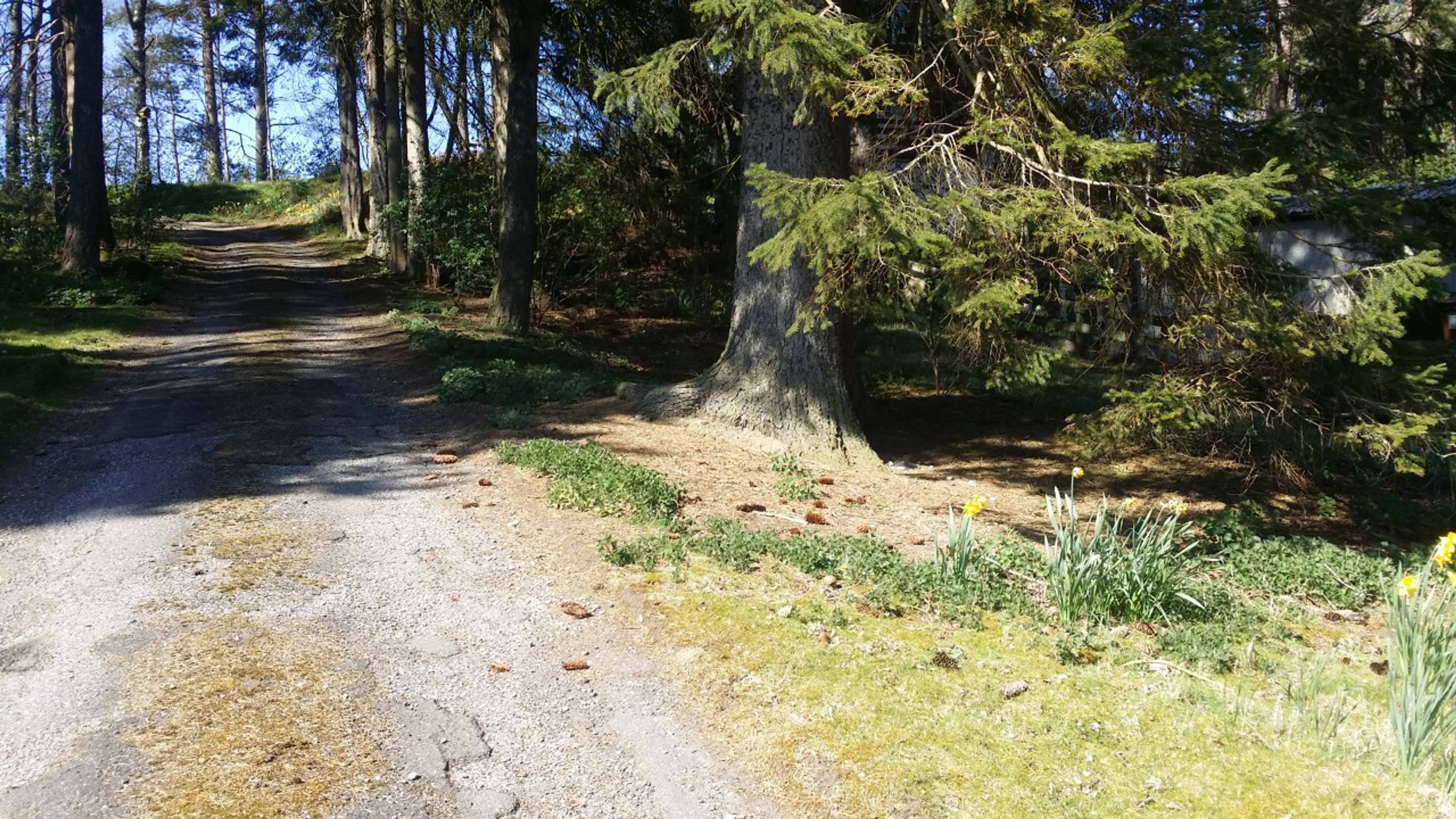 Driveway