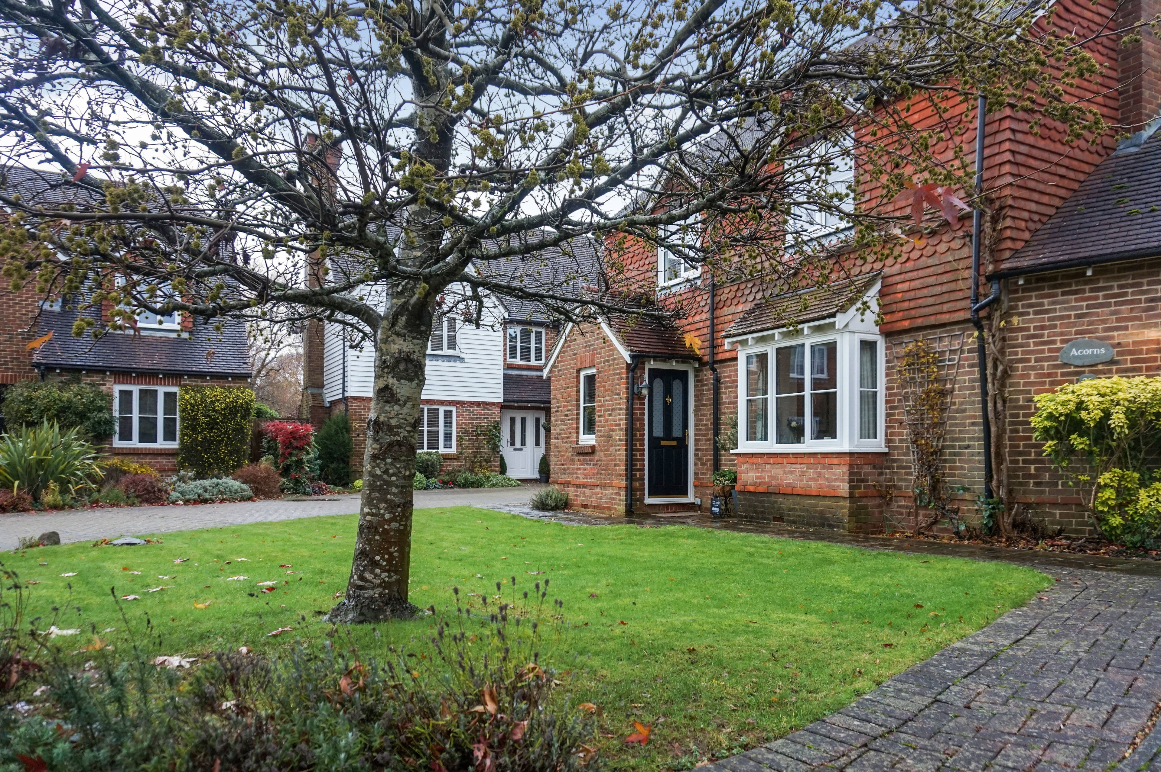 Front Garden