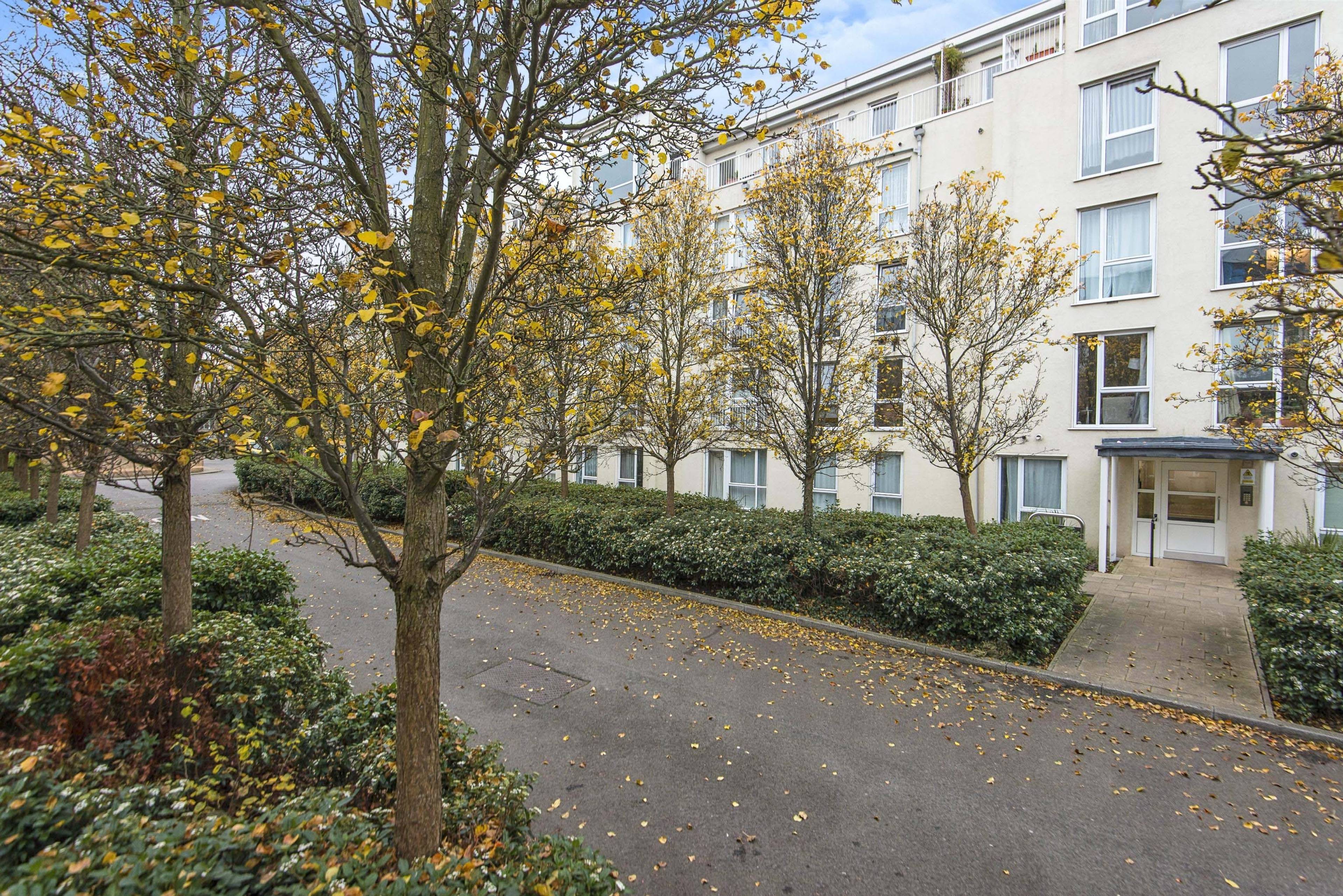Site Front