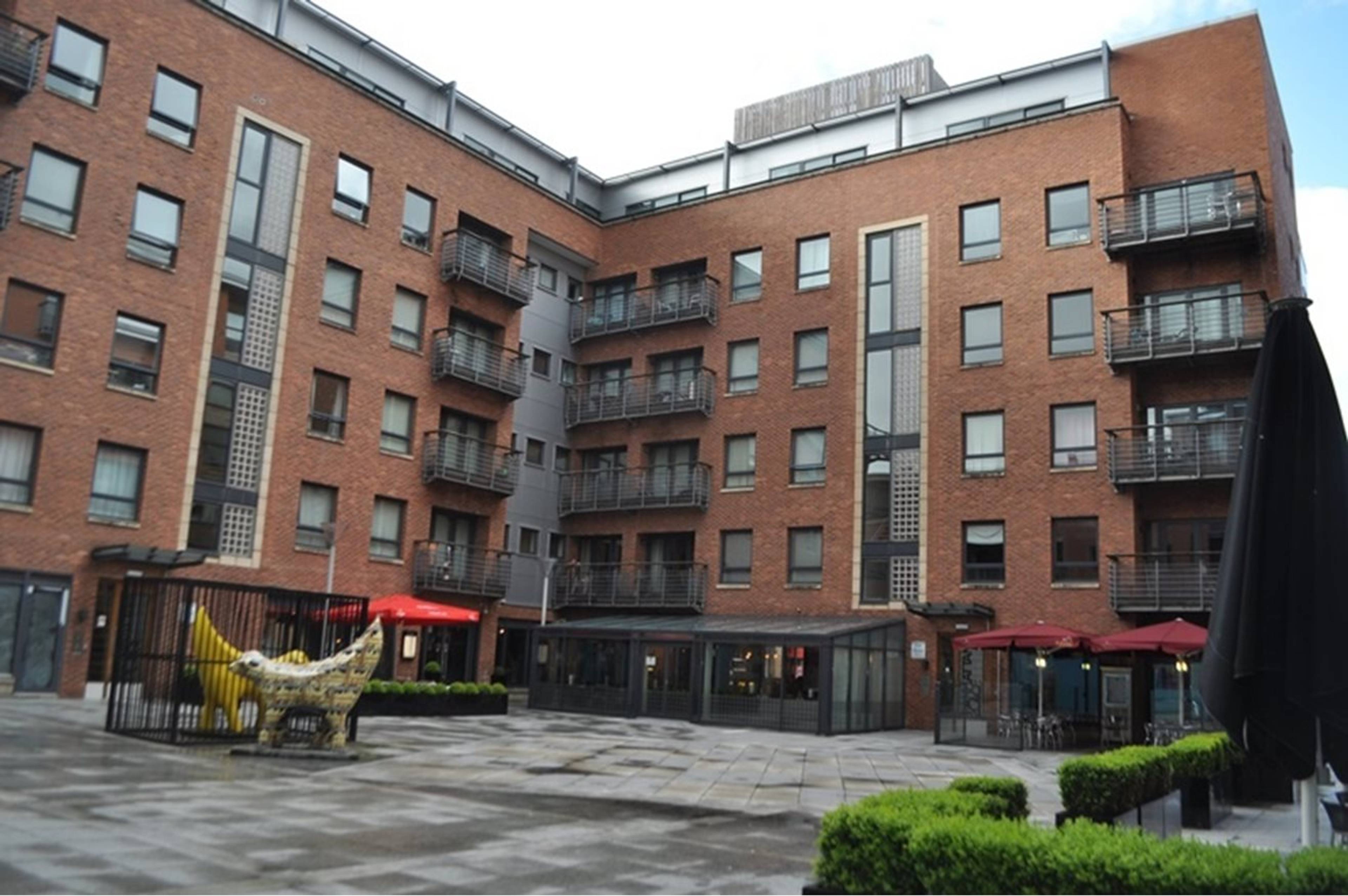 The Property