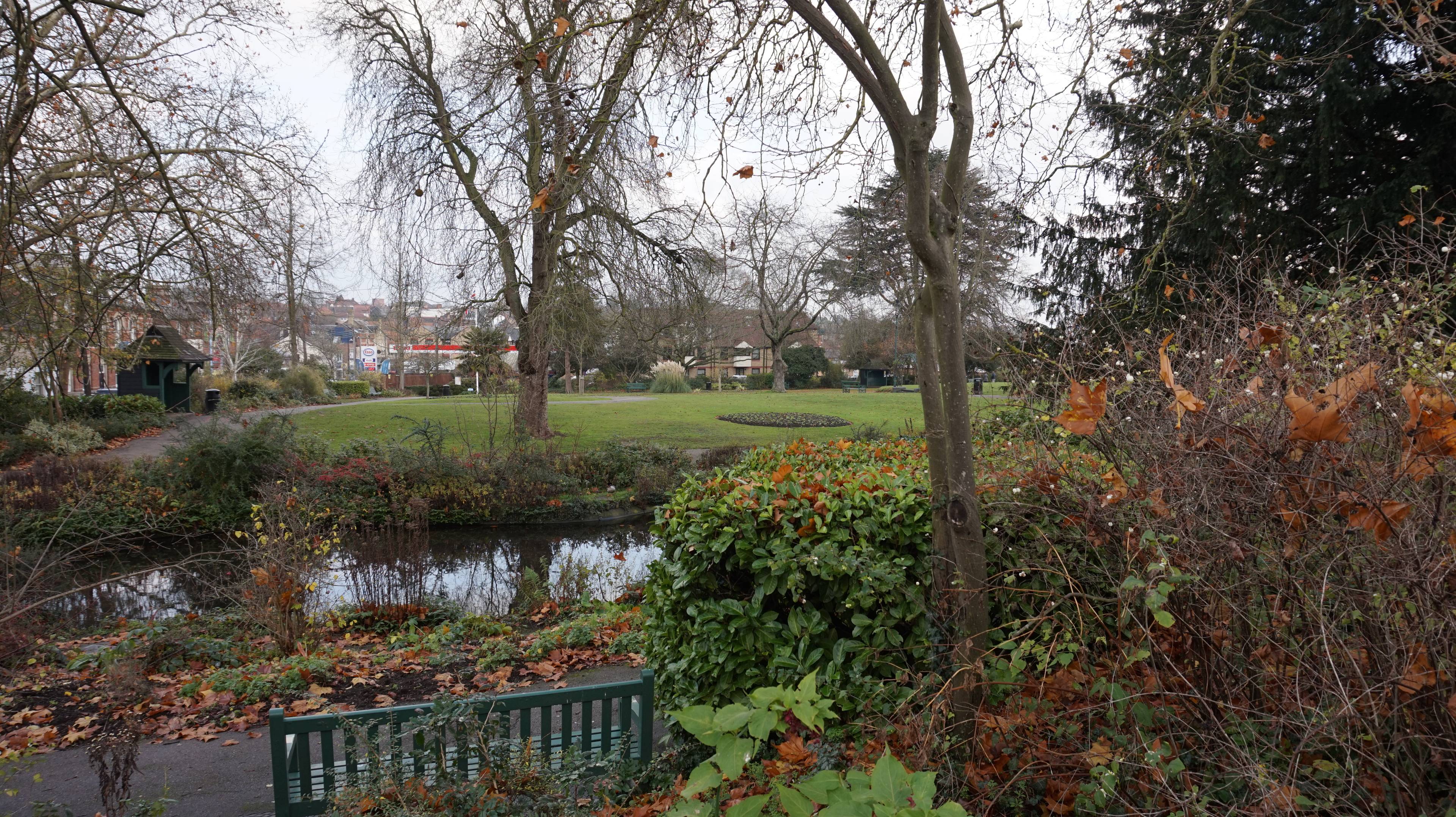 The Park