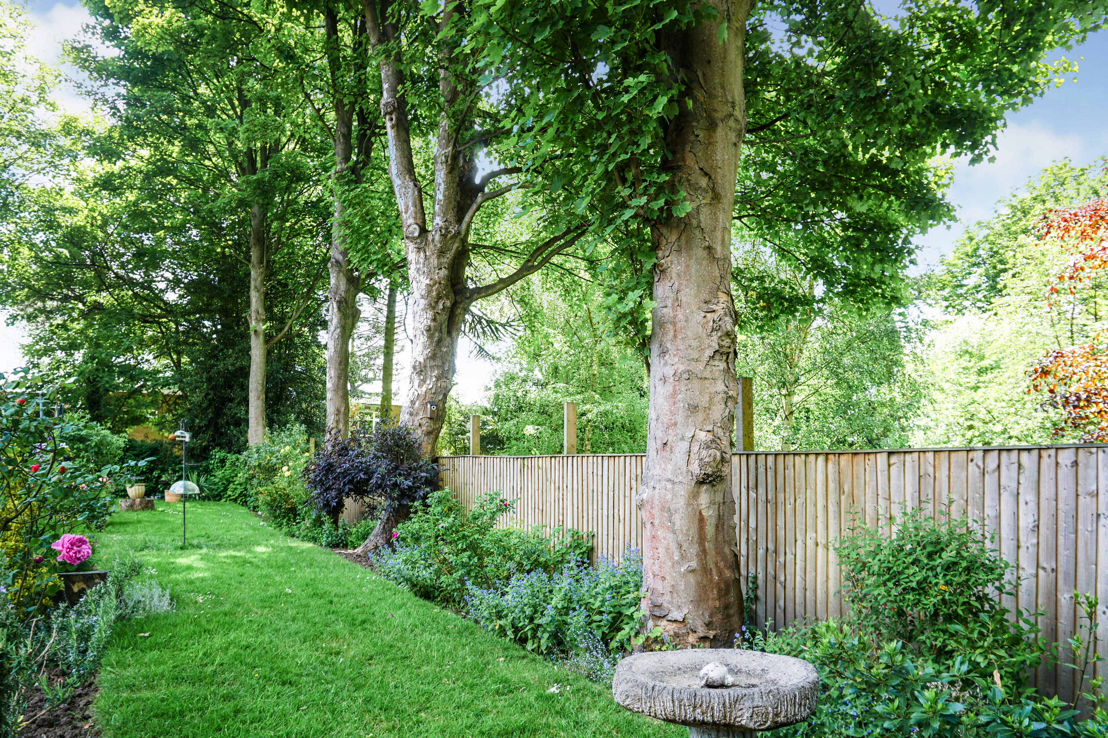 Communal Gardens