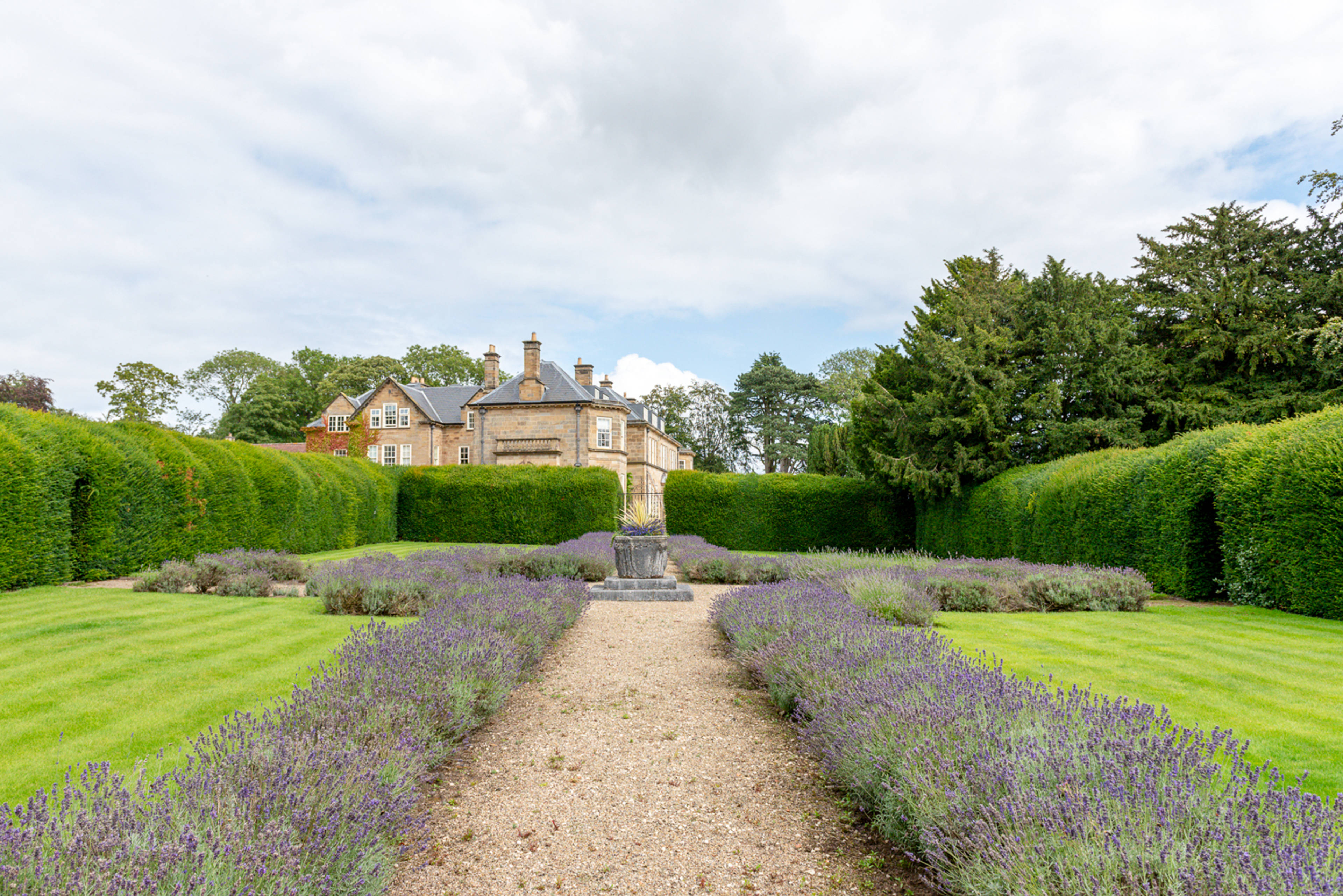 Grounds