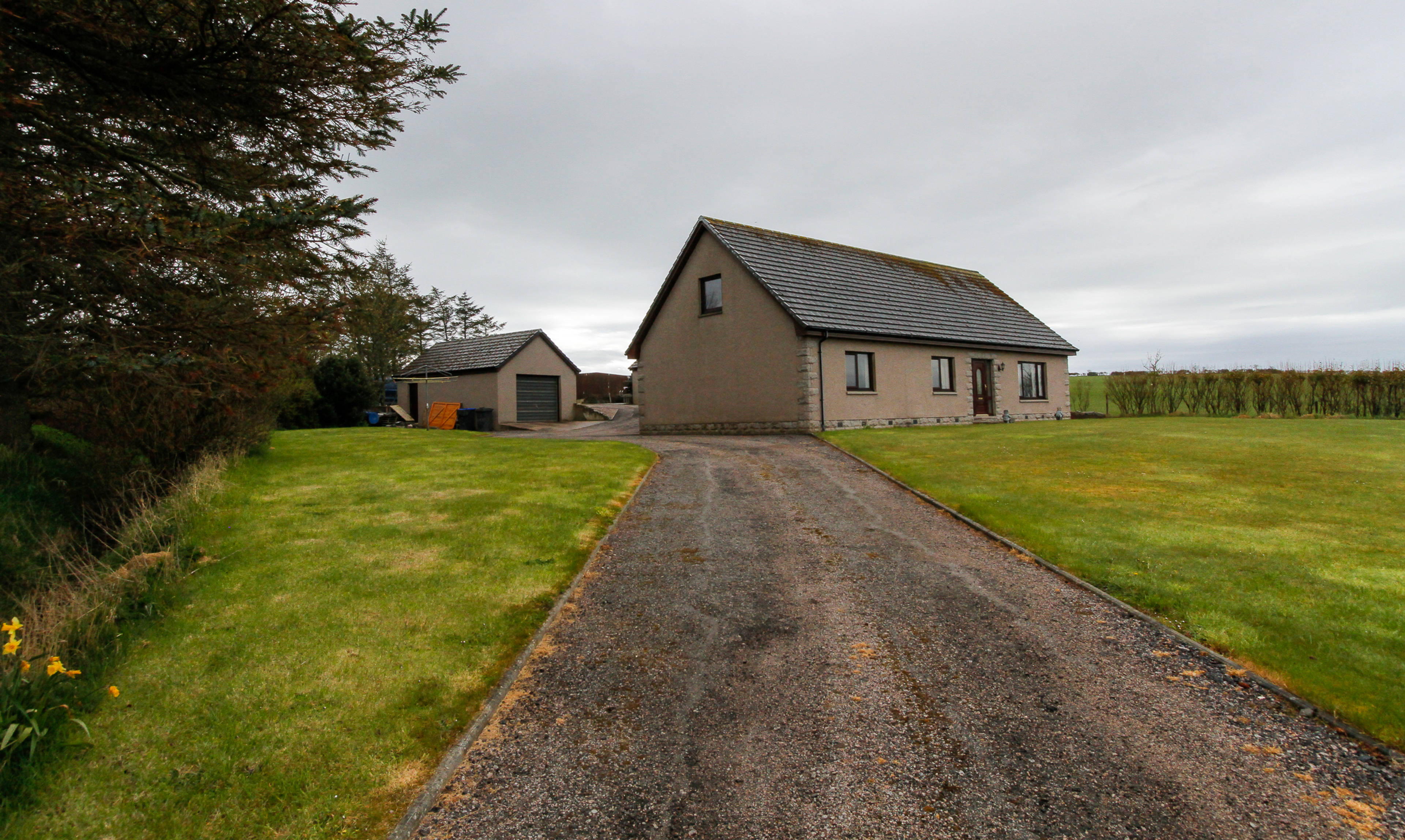 Driveway