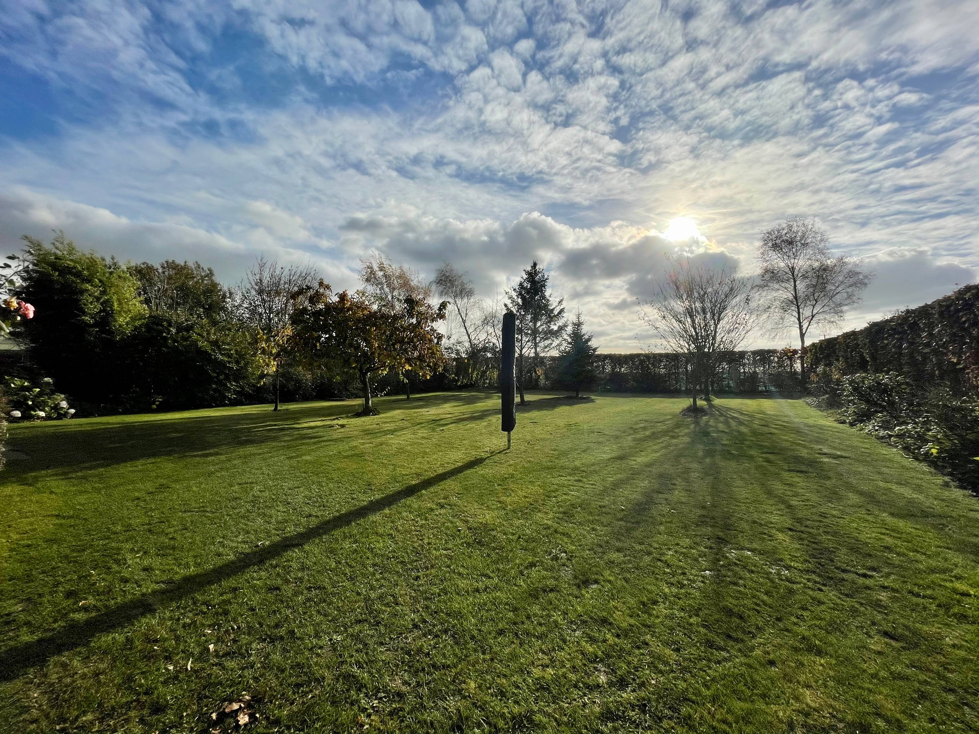 Grounds