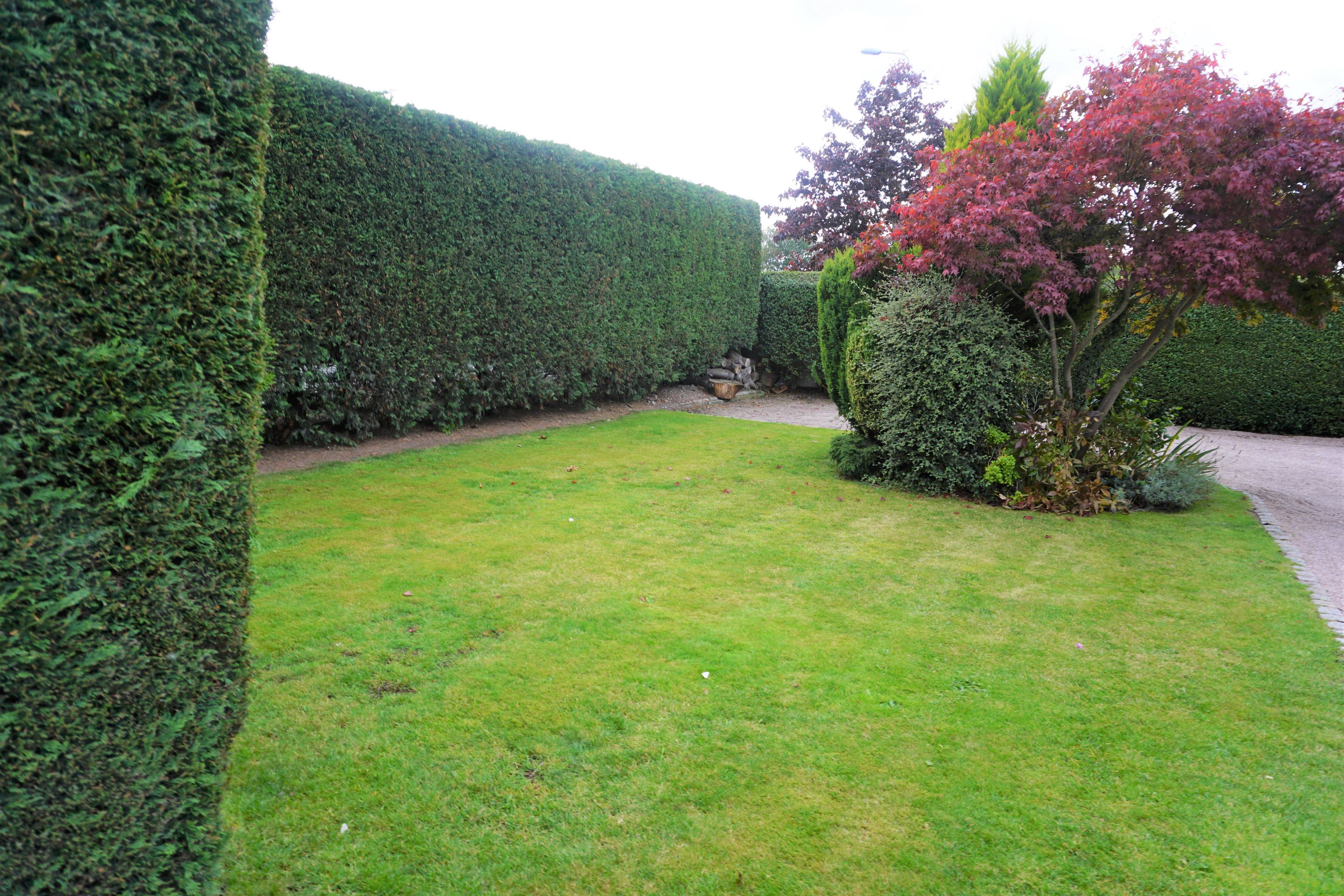 Front Garden