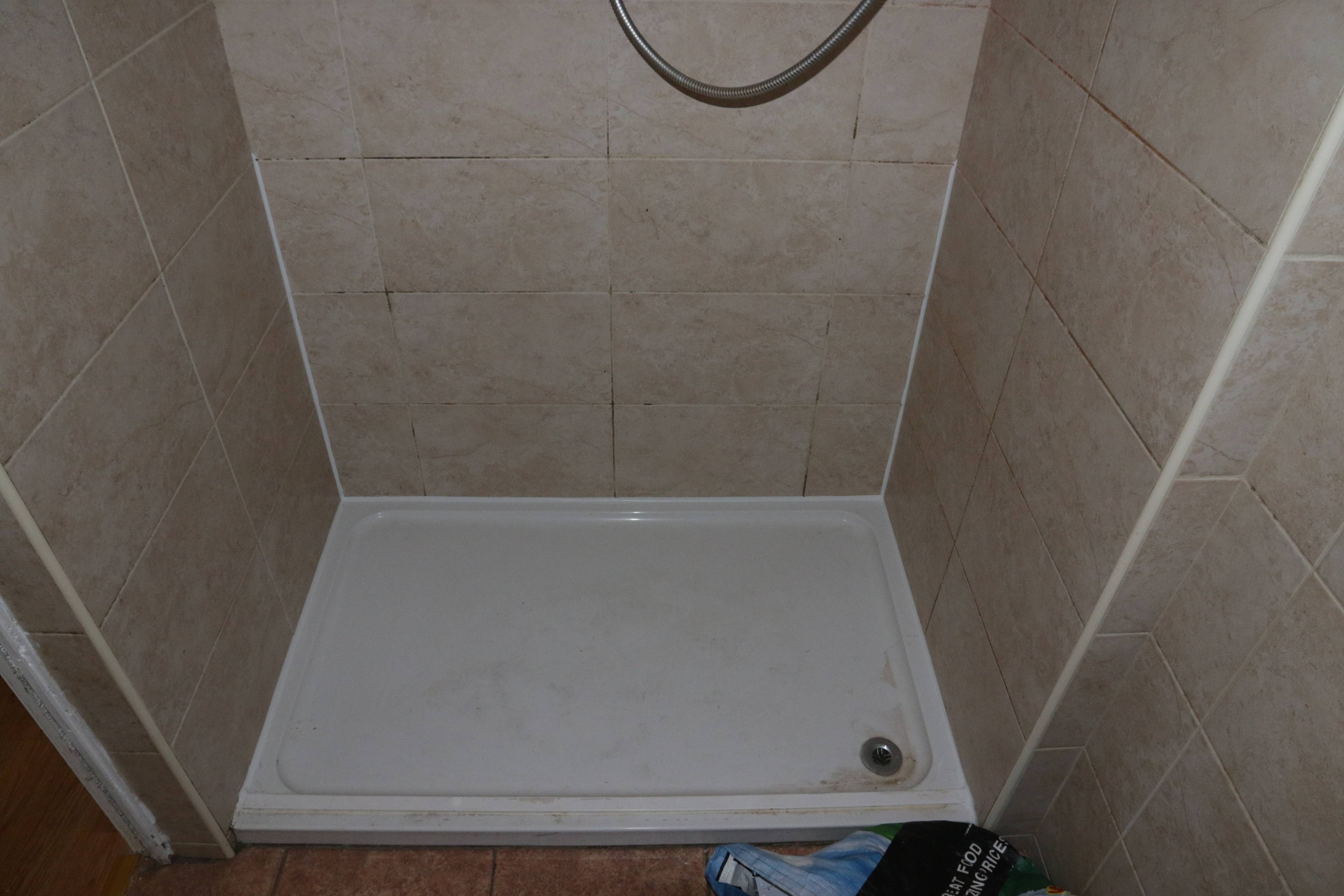 Downstairs Shower